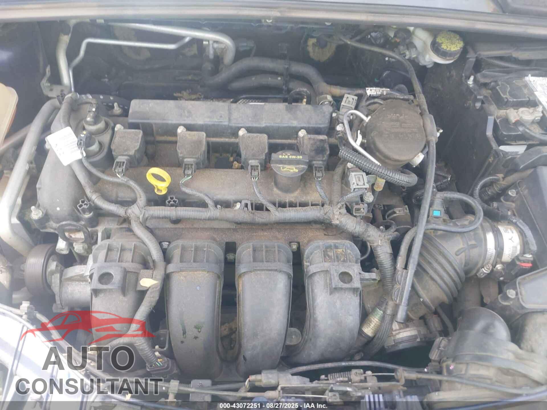 FORD FOCUS 2012 - 1FAHP3F23CL104533
