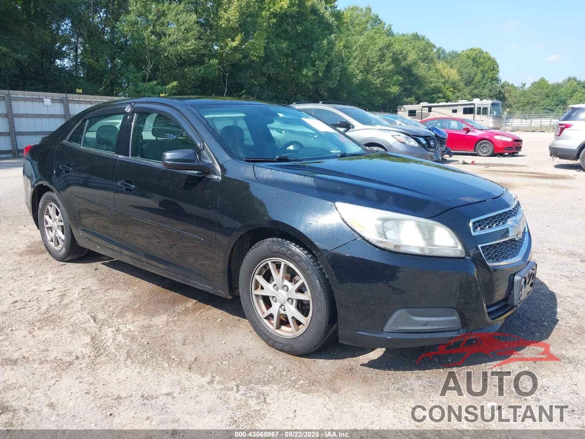 CHEVROLET MALIBU 2013 - 1G11A5SA1DU145088