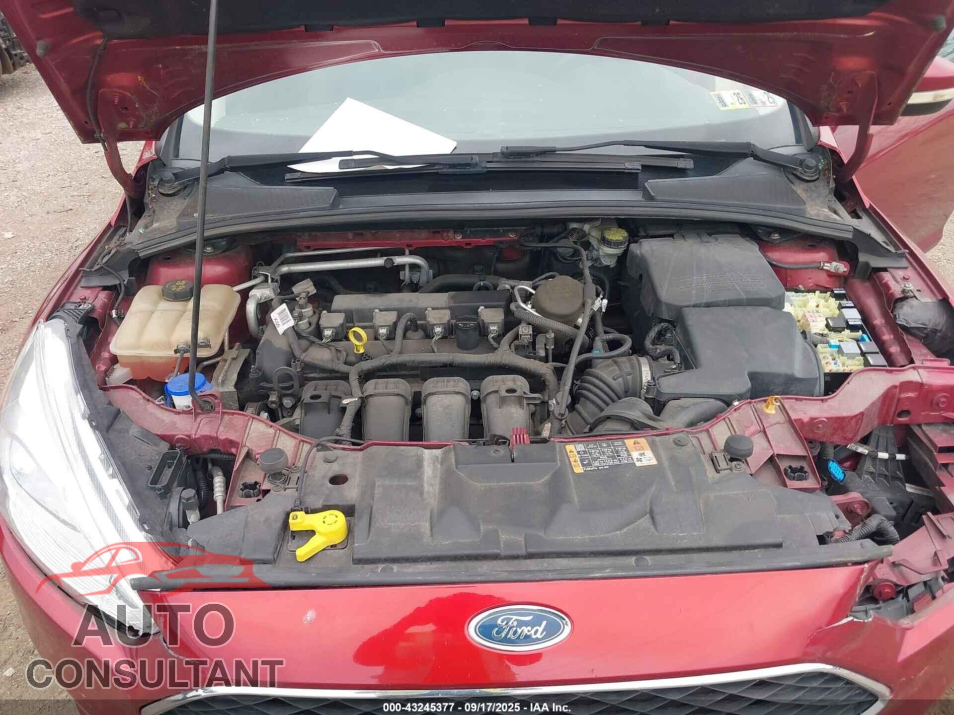 FORD FOCUS 2016 - 1FADP3F21GL232287