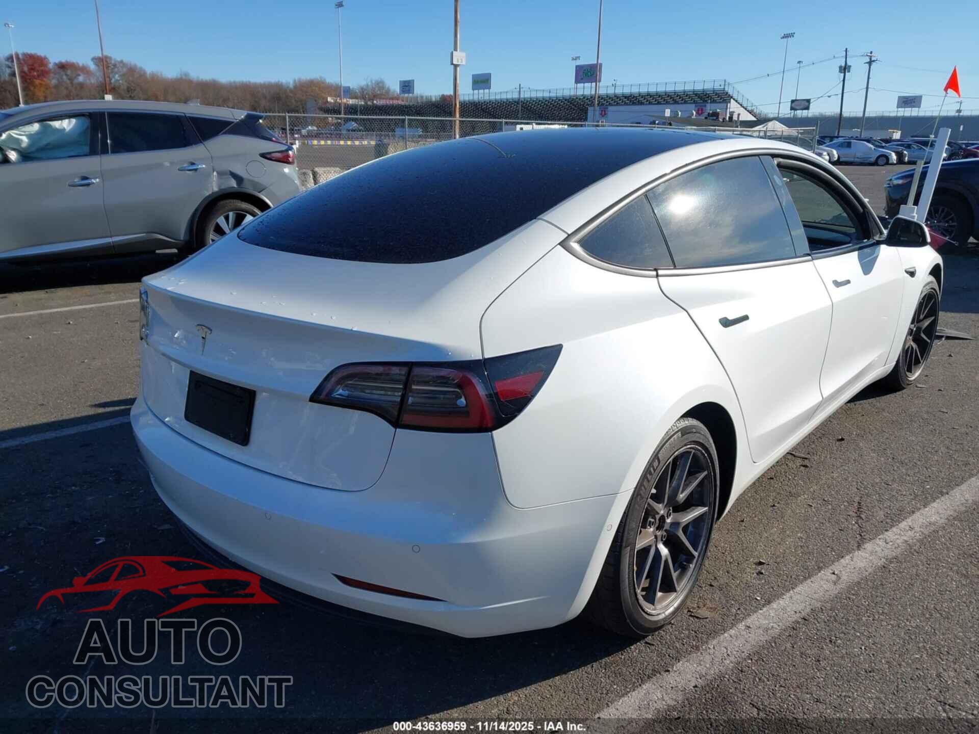 TESLA MODEL 3 2021 - 5YJ3E1EA2MF987066