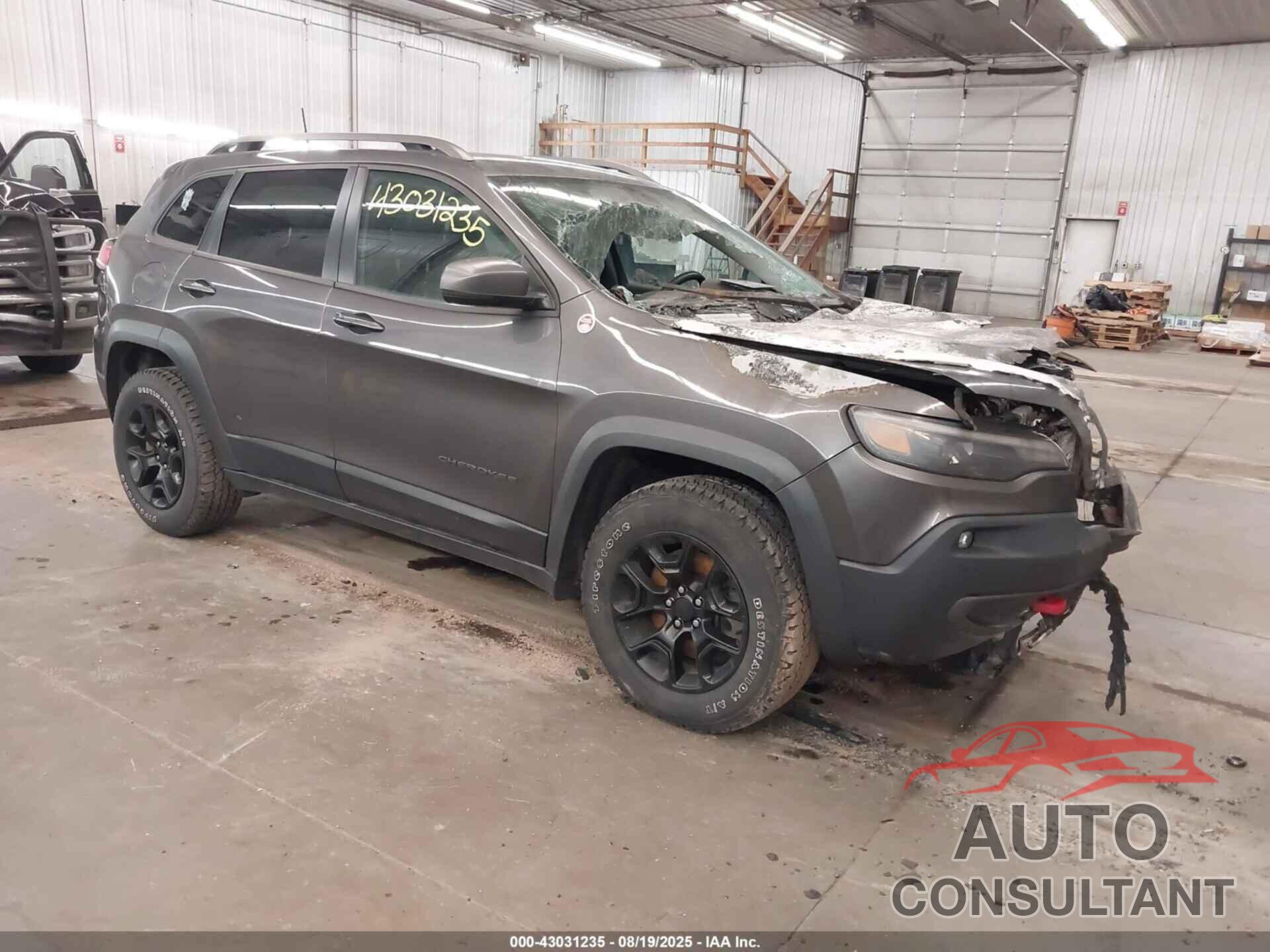 JEEP CHEROKEE 2019 - 1C4PJMBNXKD182930