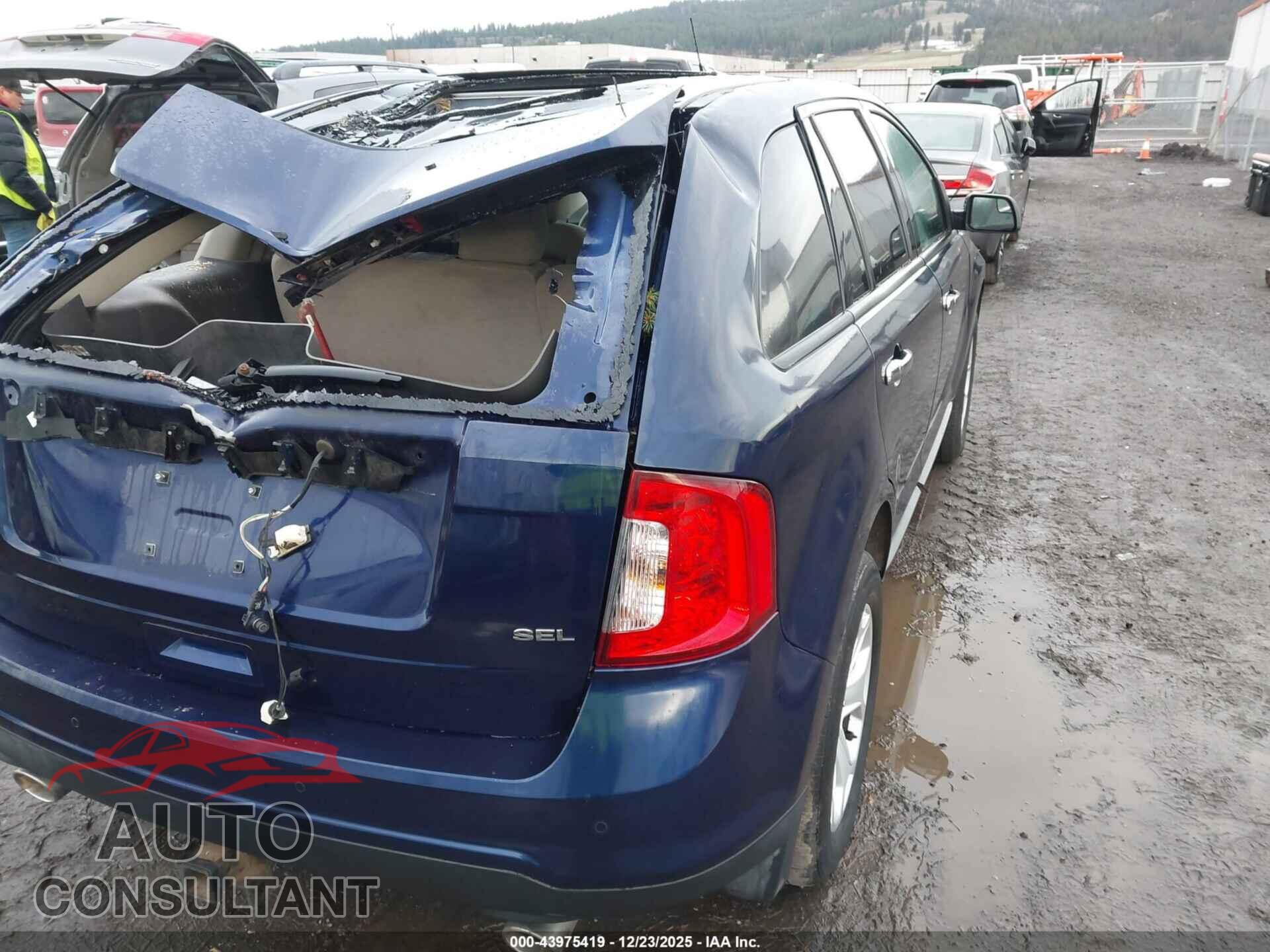 FORD EDGE 2011 - 2FMDK3JC2BBB39291