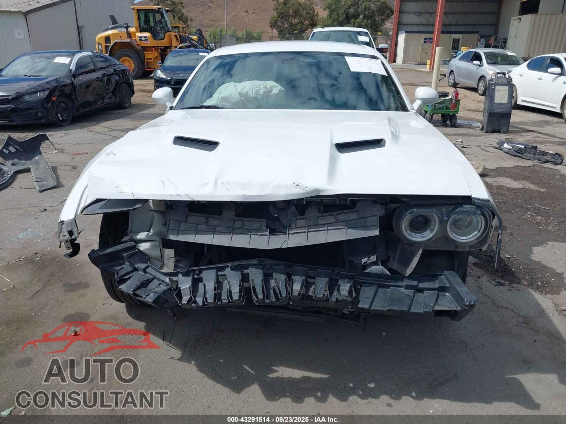 DODGE CHALLENGER 2019 - 2C3CDZAG9KH670005