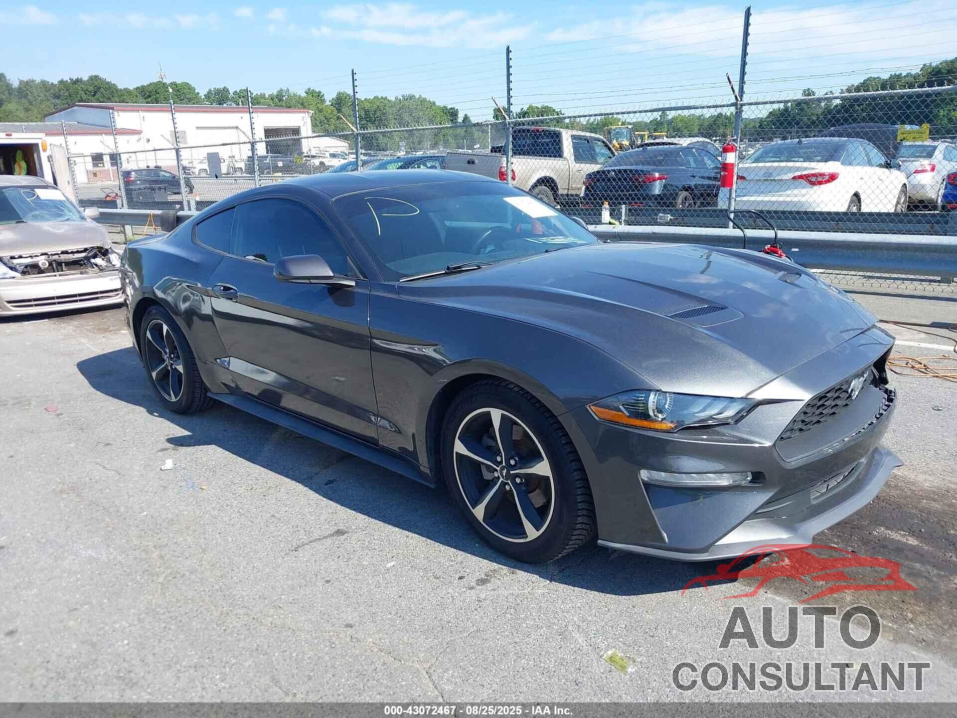 FORD MUSTANG 2019 - 1FA6P8TH9K5200148