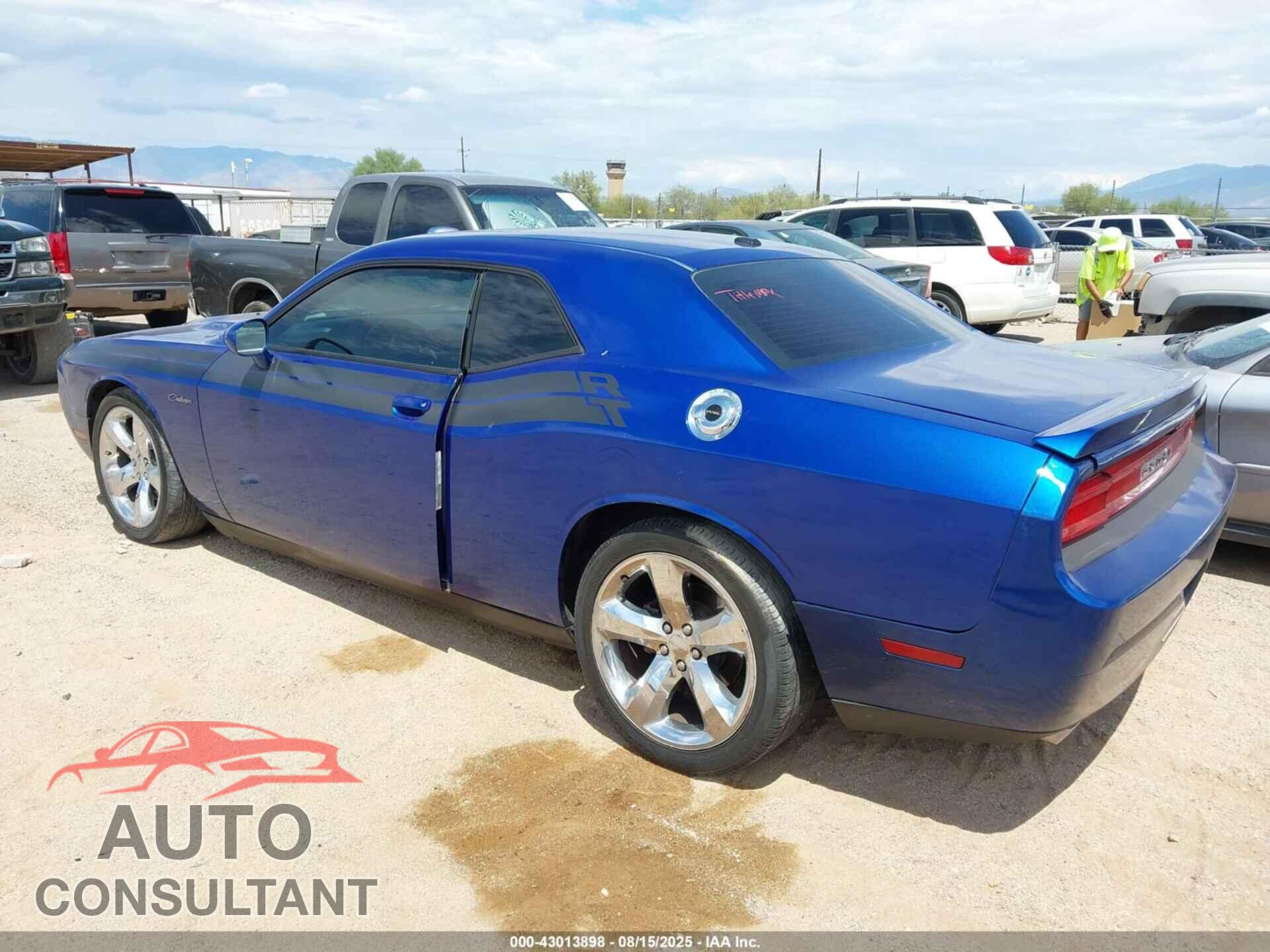DODGE CHALLENGER 2012 - 2C3CDYBT8CH238822
