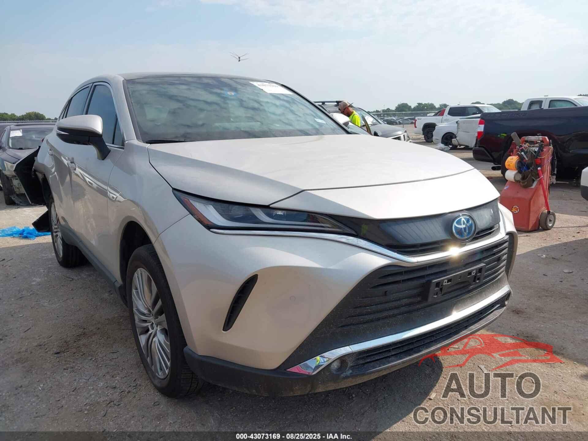 TOYOTA VENZA 2023 - JTEAAAAH9PJ138888