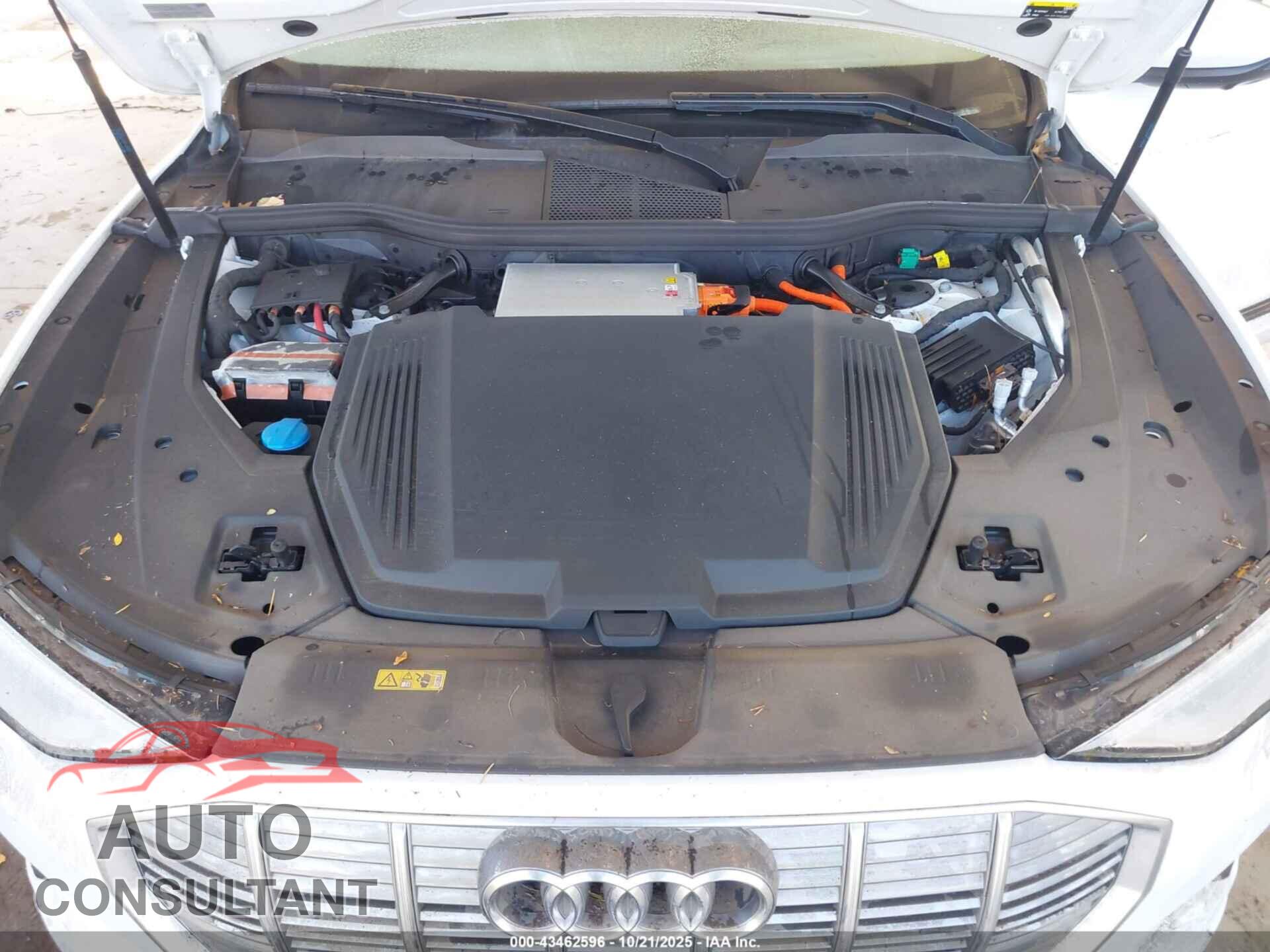 AUDI E-TRON 2019 - WA1LABGE7KB015443