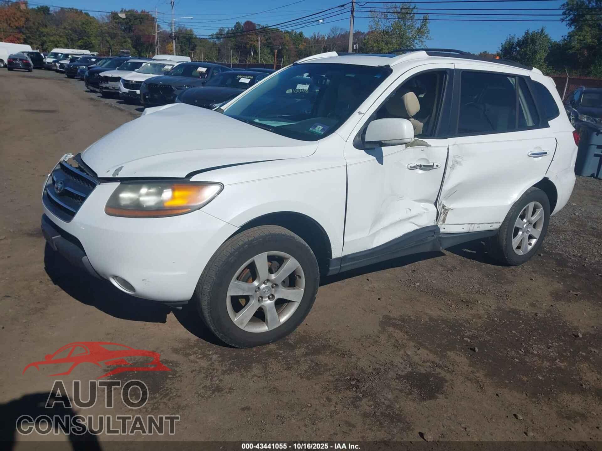 HYUNDAI SANTA FE 2009 - 5NMSH13E69H257496