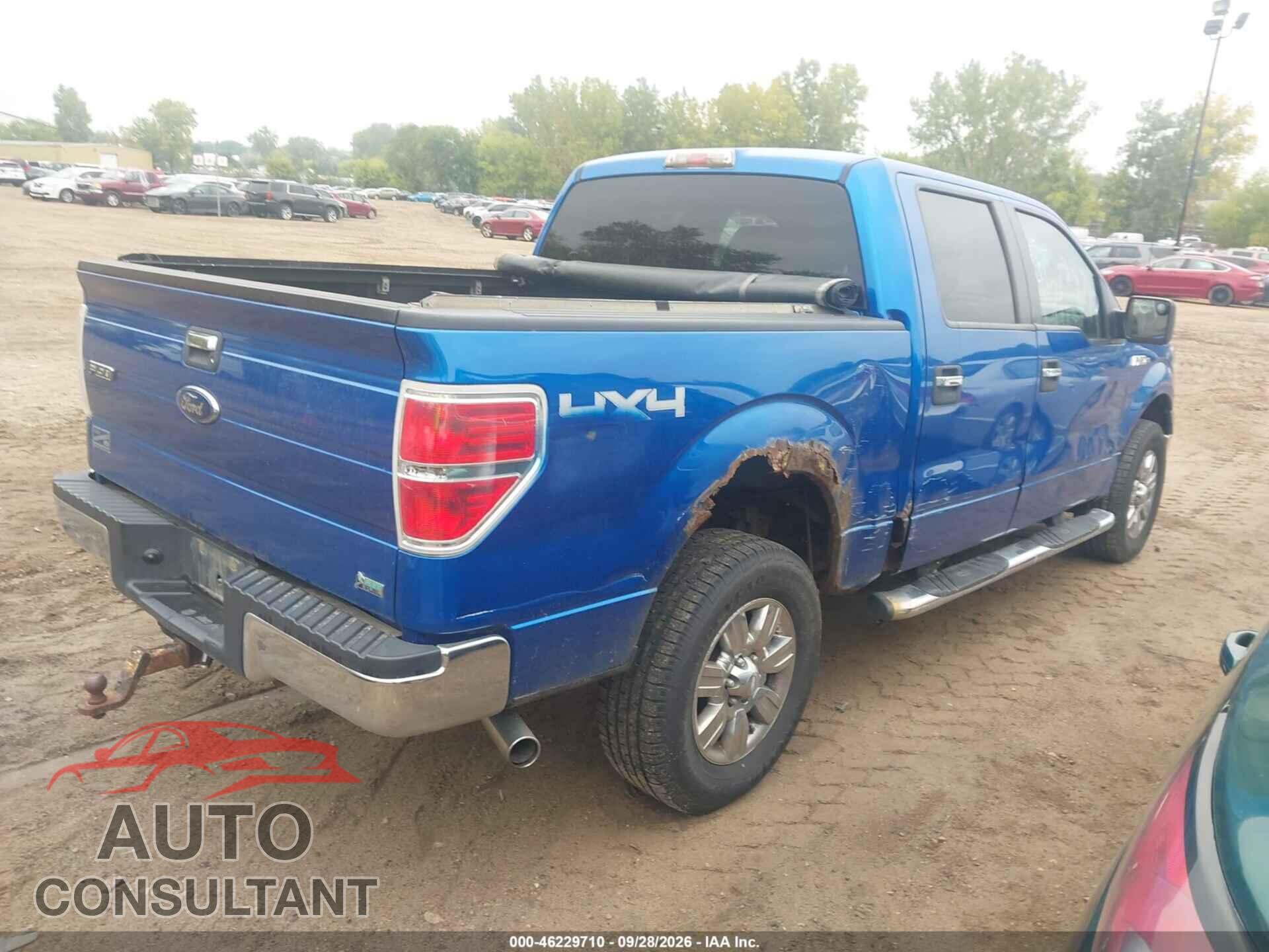FORD F-150 2010 - 1FTFW1EV5AFA78078