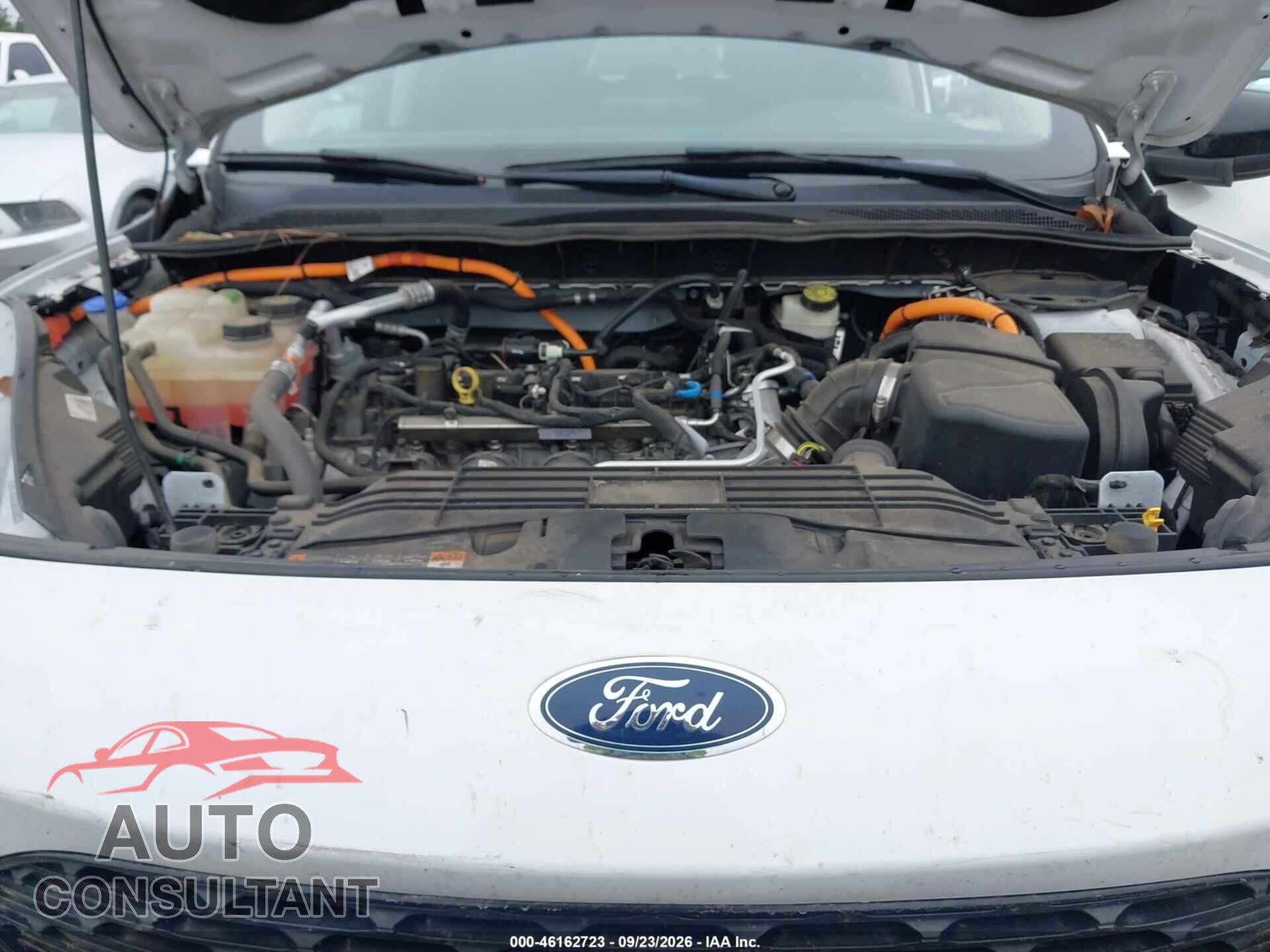 FORD ESCAPE 2020 - 1FMCU9BZ0LUA80393