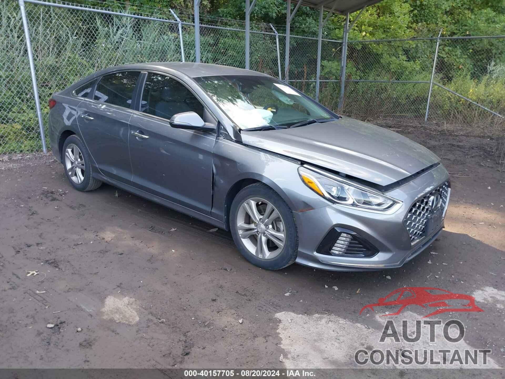 HYUNDAI SONATA 2019 - 5NPE34AF7KH772525