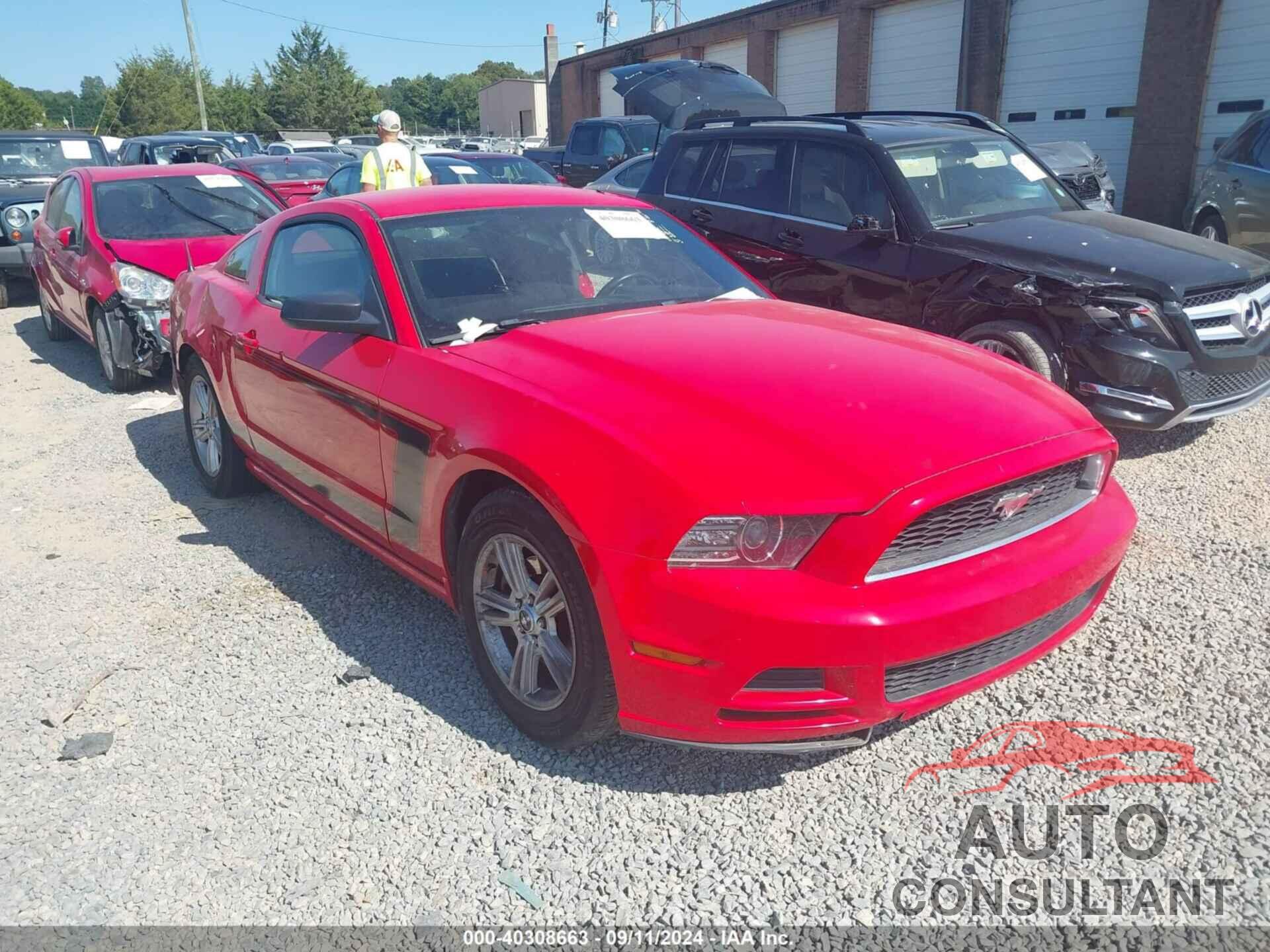 FORD MUSTANG 2013 - 1ZVBP8AM5D5268052