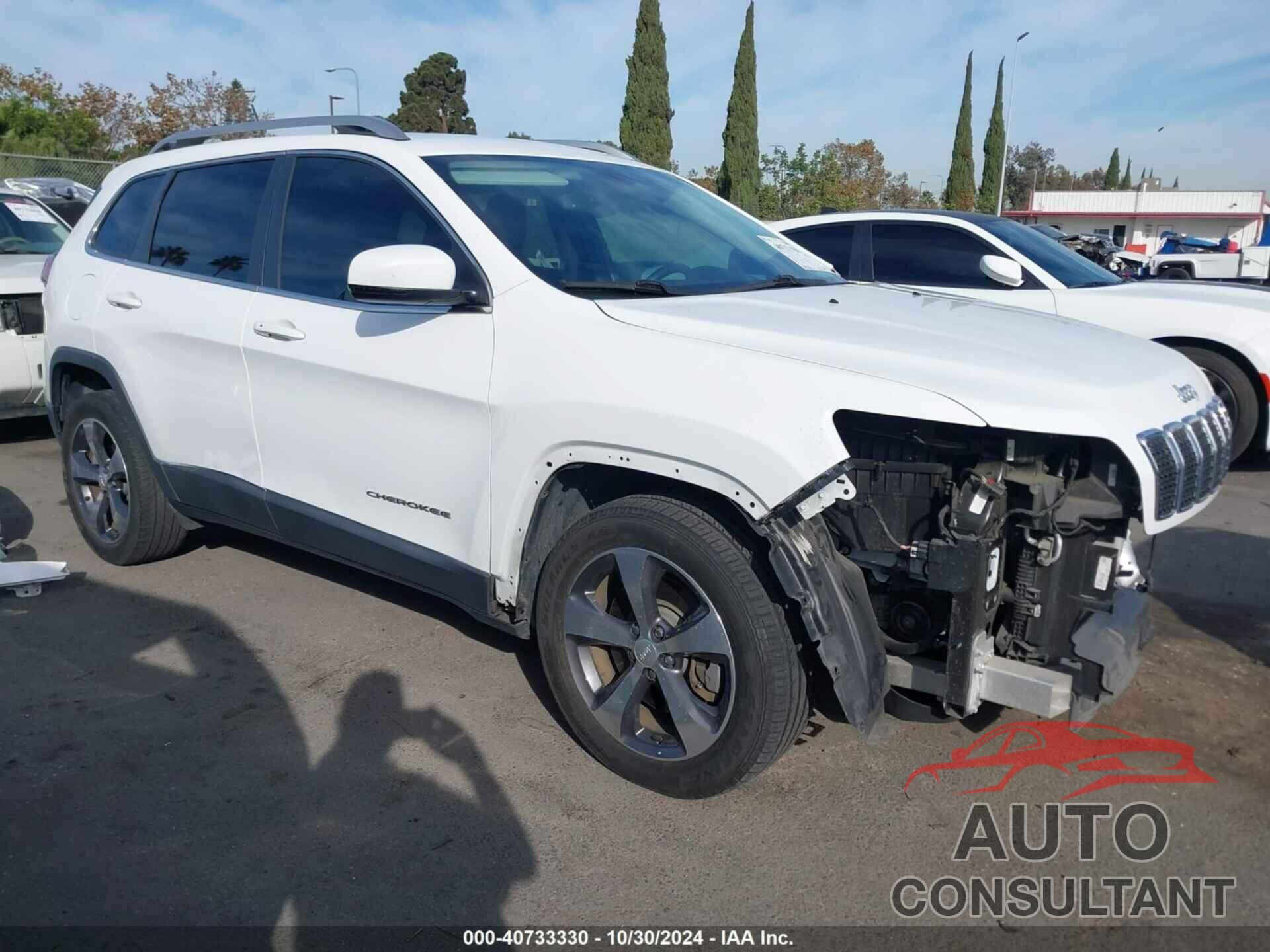 JEEP CHEROKEE 2019 - 1C4PJLDB3KD300734