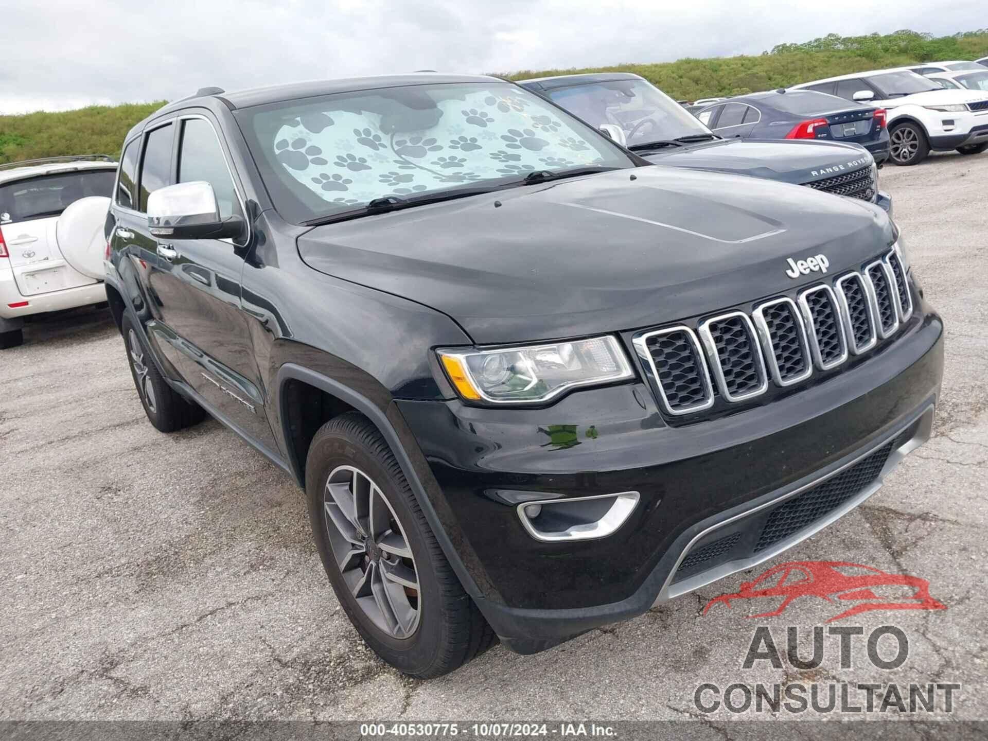 JEEP GRAND CHEROKEE 2019 - 1C4RJFBG2KC785379