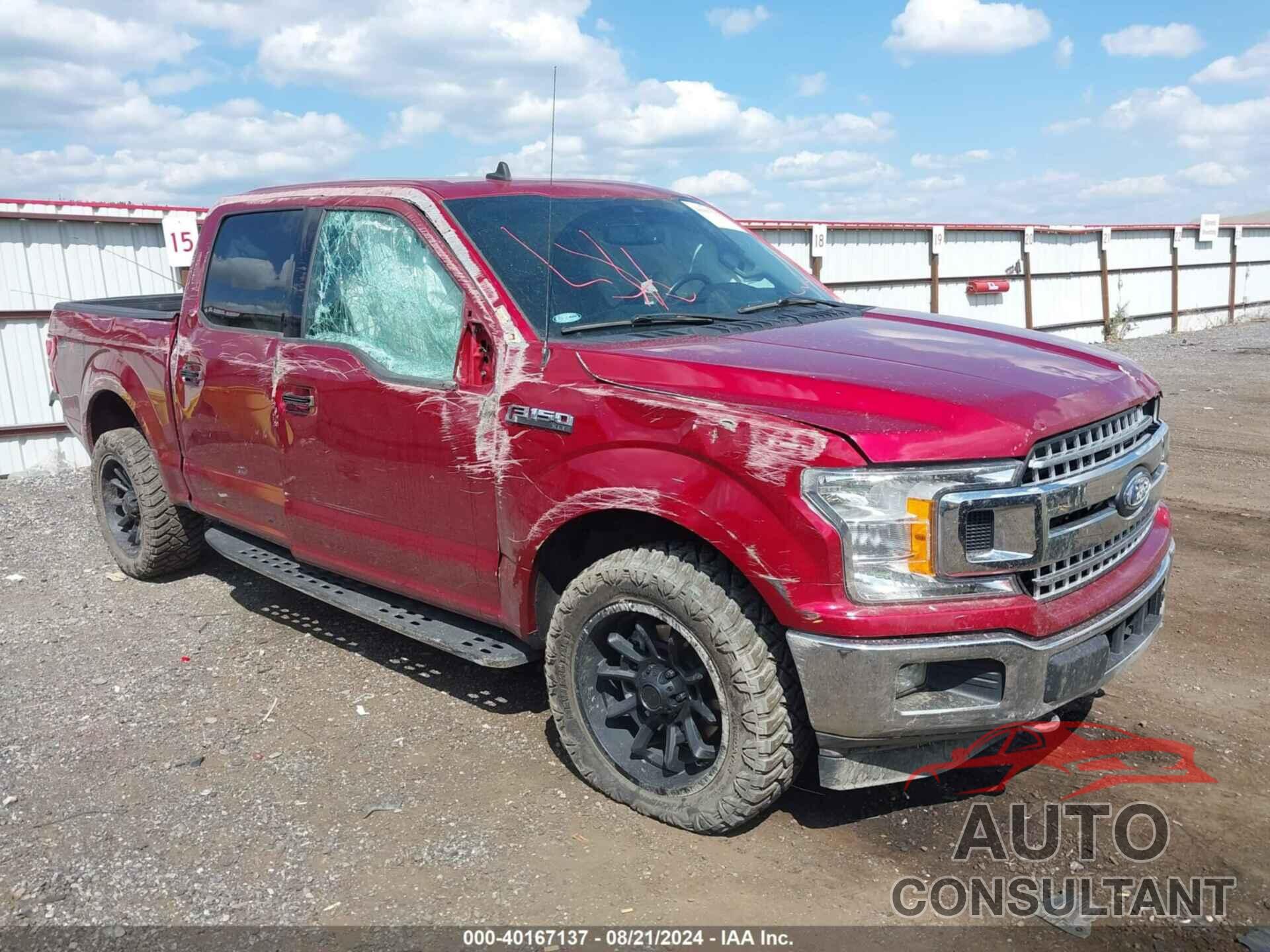 FORD F-150 2019 - 1FTEW1EP2KKE96135