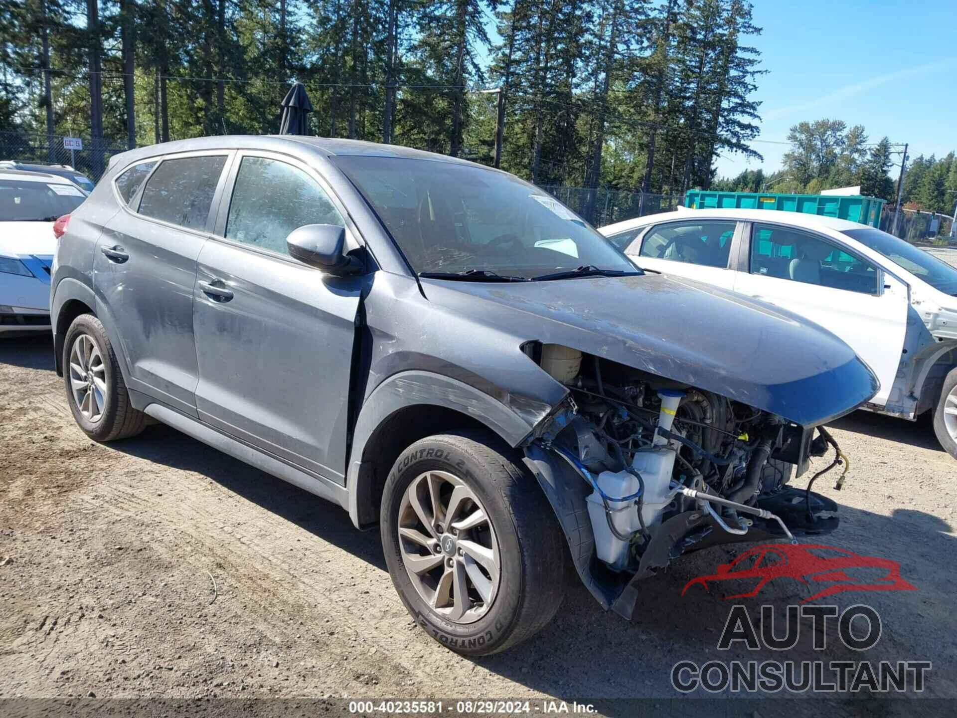 HYUNDAI TUCSON 2017 - KM8J23A44HU393518