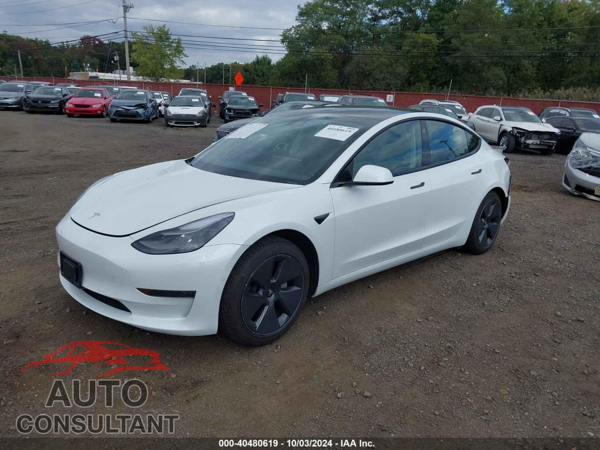 TESLA MODEL 3 2021 - 5YJ3E1EA7MF085190