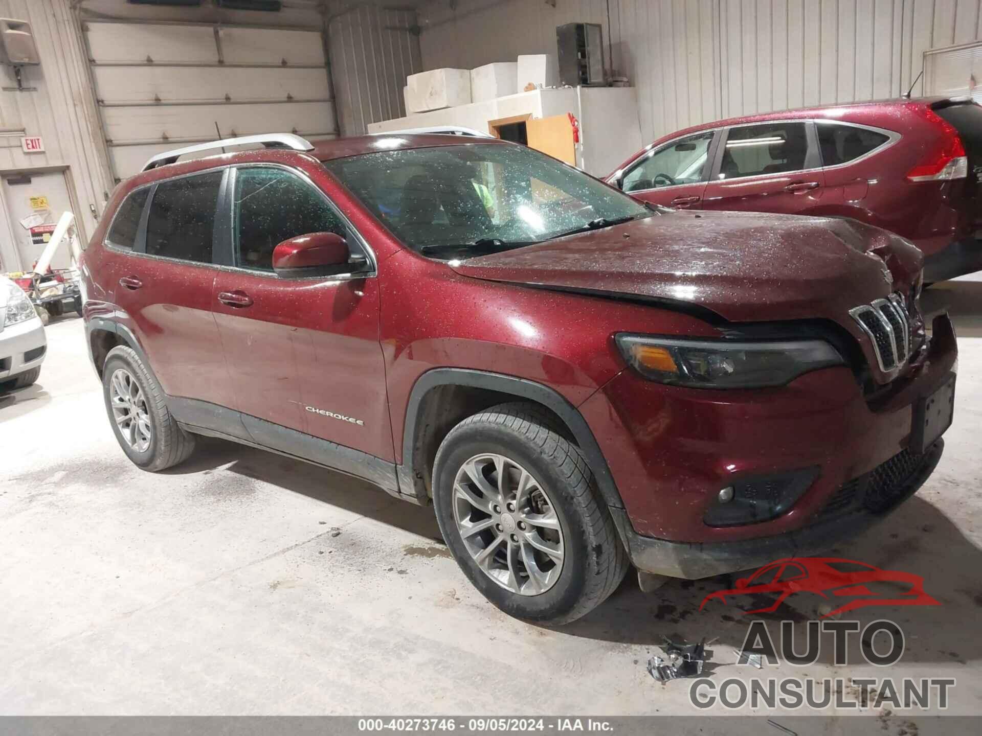 JEEP CHEROKEE 2019 - 1C4PJMLX9KD465464