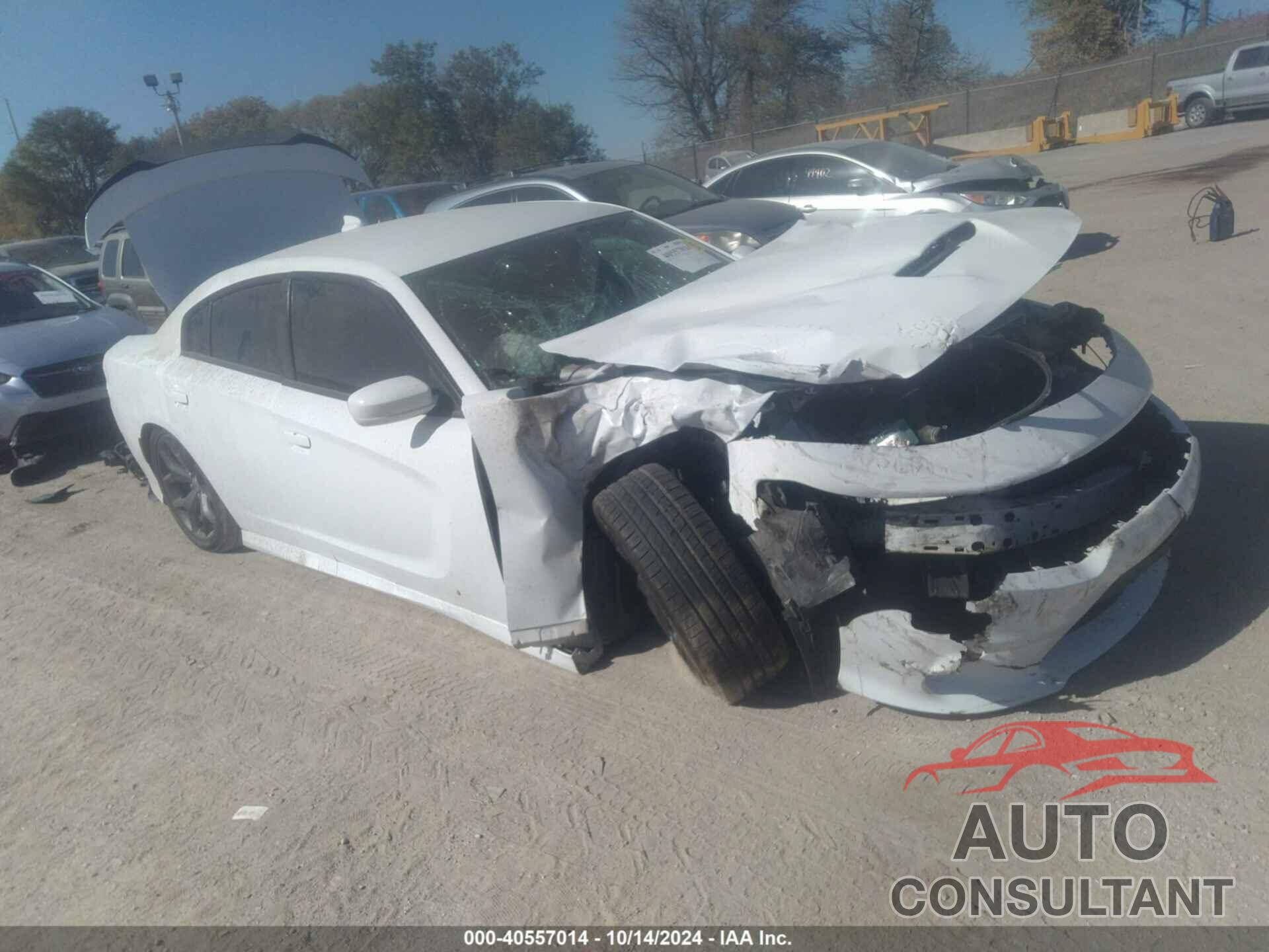 DODGE CHARGER 2019 - 2C3CDXCT5KH630020