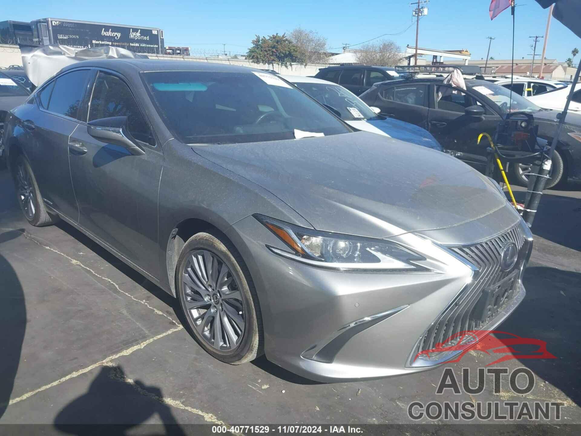 LEXUS ES 300H 2021 - 58ADA1C1XMU005735