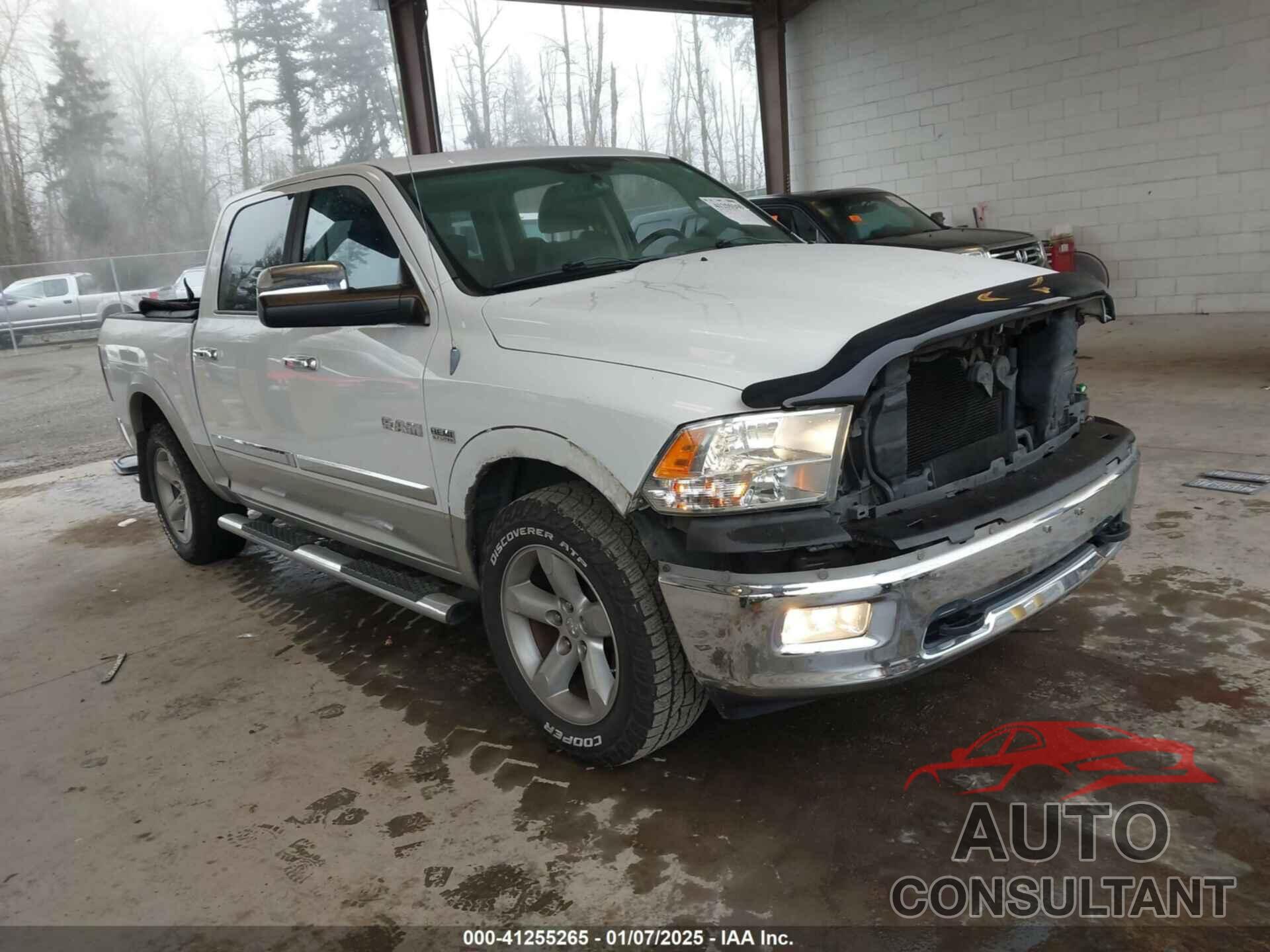 DODGE RAM 1500 2010 - 1D7RV1CT3AS255175
