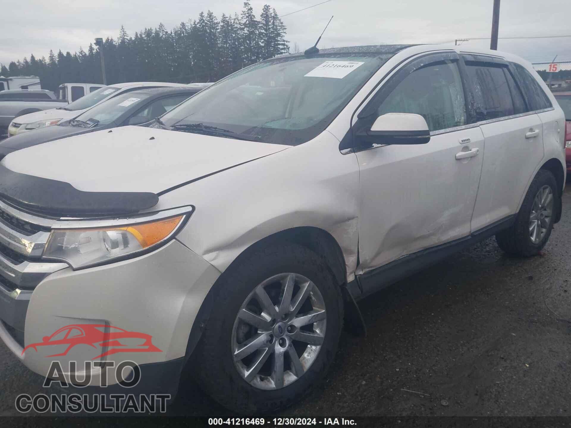 FORD EDGE 2013 - 2FMDK4KC7DBA07733