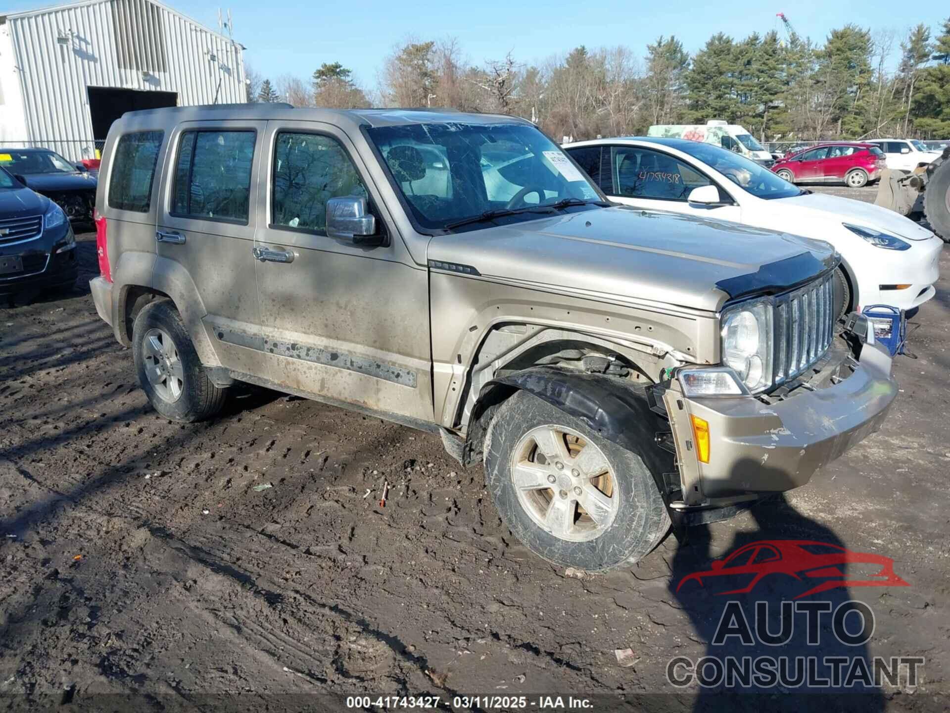 JEEP LIBERTY 2011 - 1J4PN2GK0BW594439