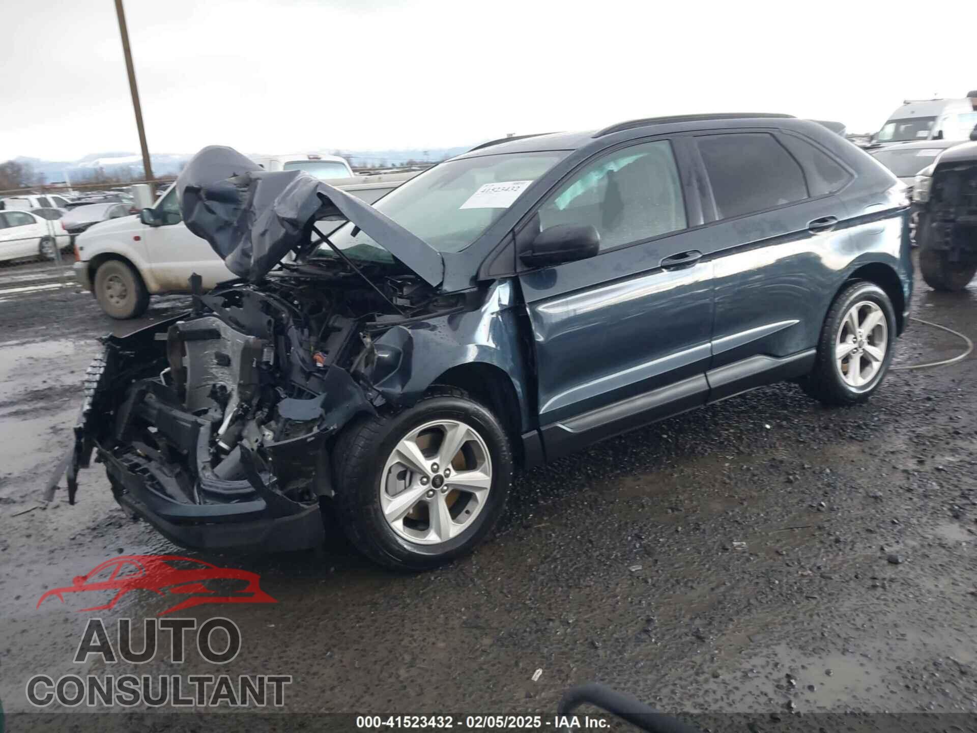 FORD EDGE 2024 - 2FMPK4G90RBB20005