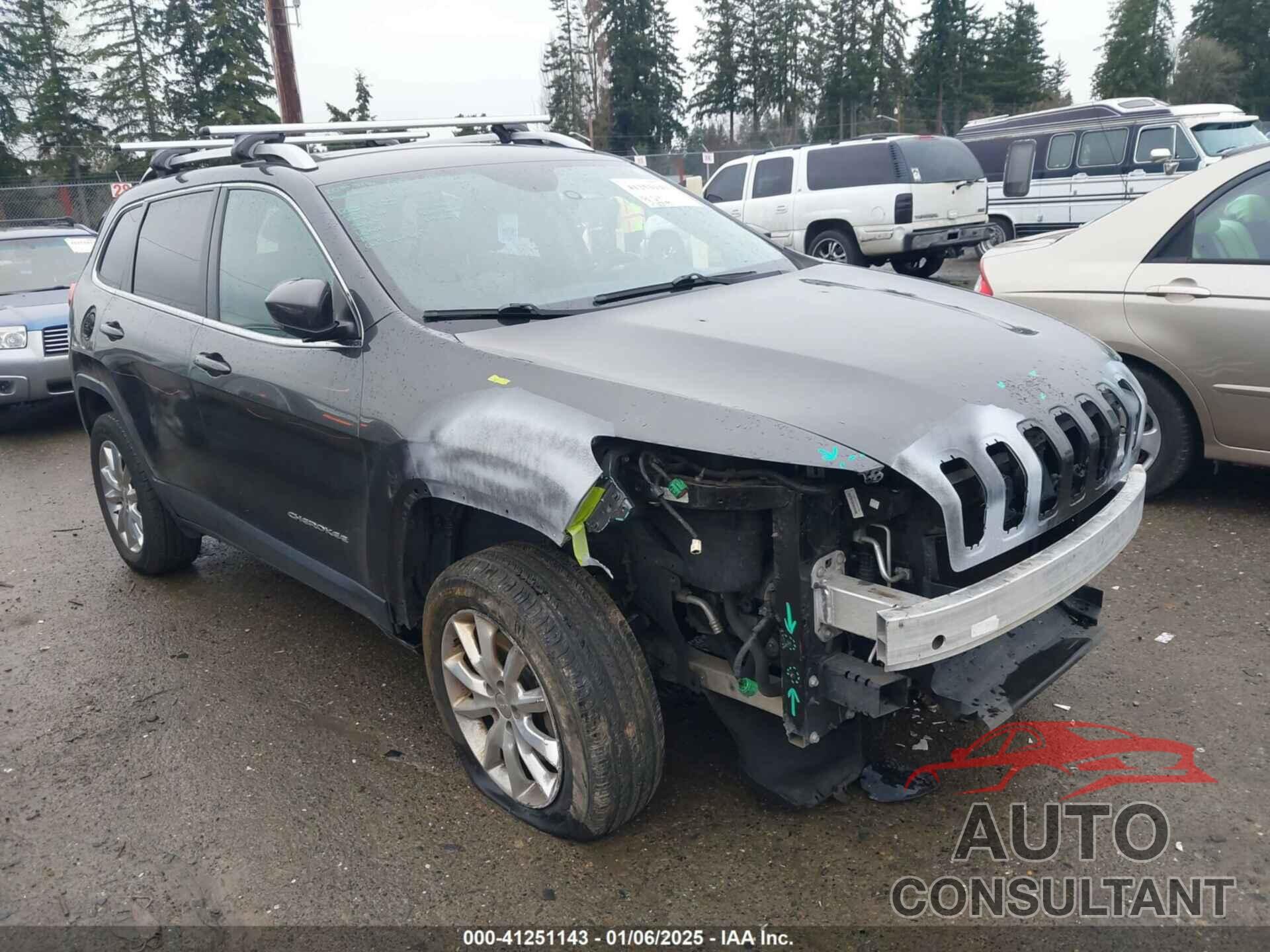 JEEP CHEROKEE 2016 - 1C4PJMDB5GW294209