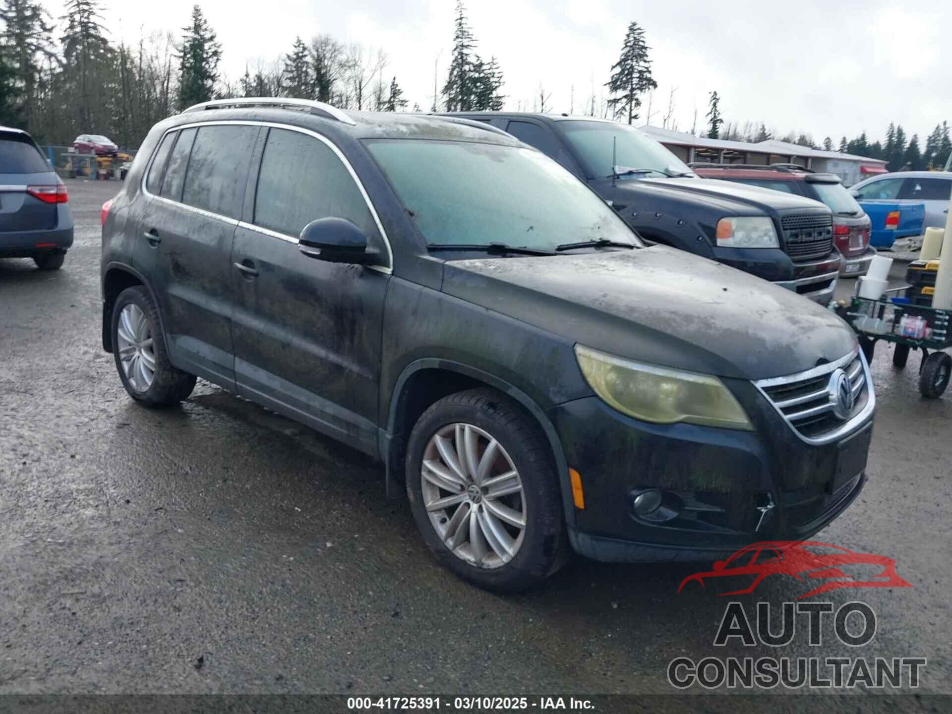 VOLKSWAGEN TIGUAN 2009 - WVGBV95NX9W529819