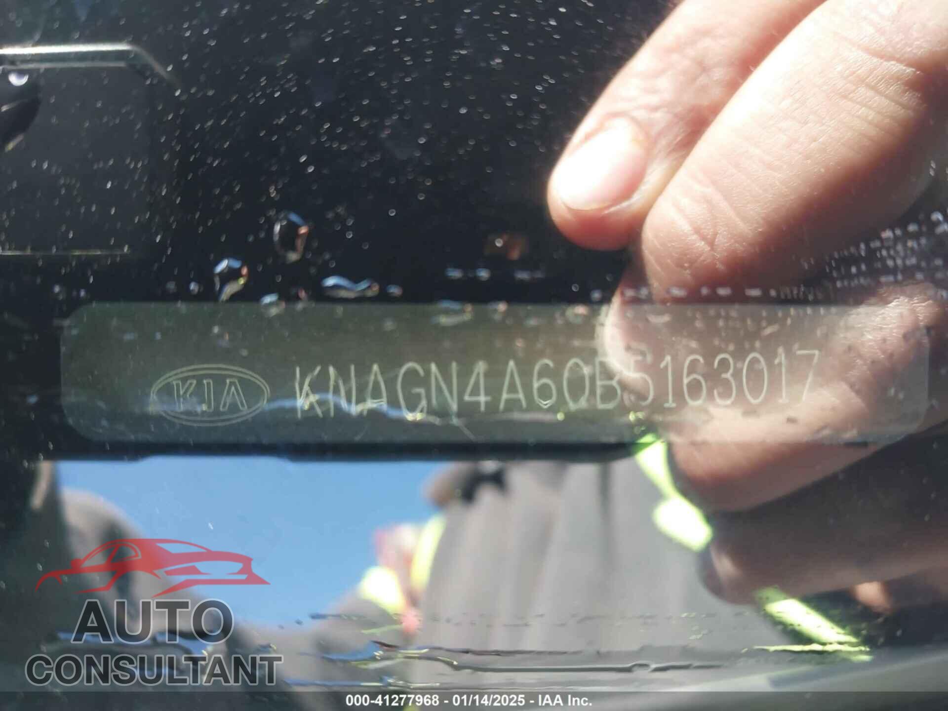 KIA OPTIMA 2011 - KNAGN4A60B5163017