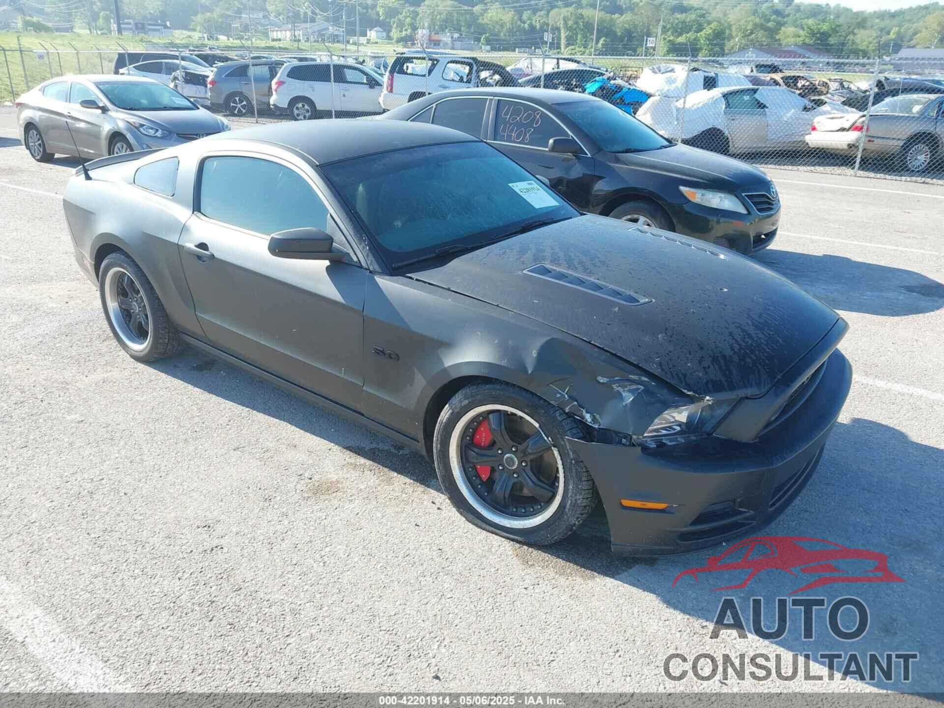 FORD MUSTANG 2014 - 1ZVBP8CFXE5254647