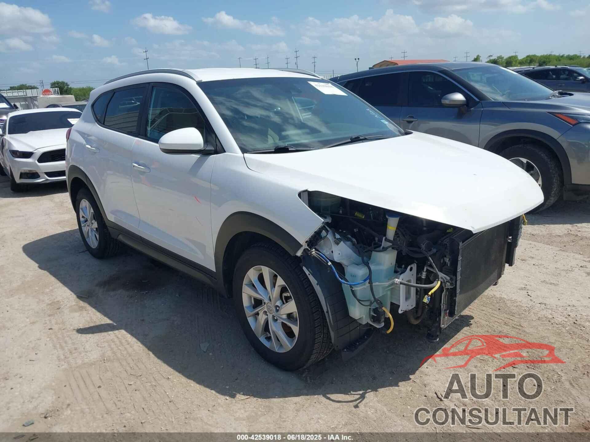 HYUNDAI TUCSON 2019 - KM8J33A49KU940769