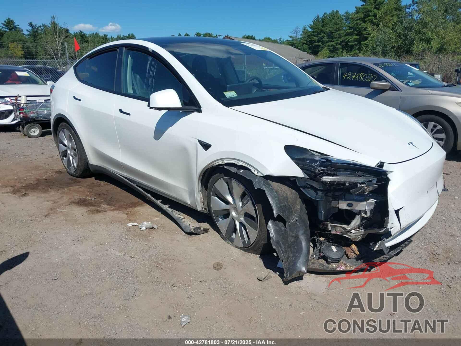 TESLA MODEL Y 2023 - 7SAYGDEEXPA103397