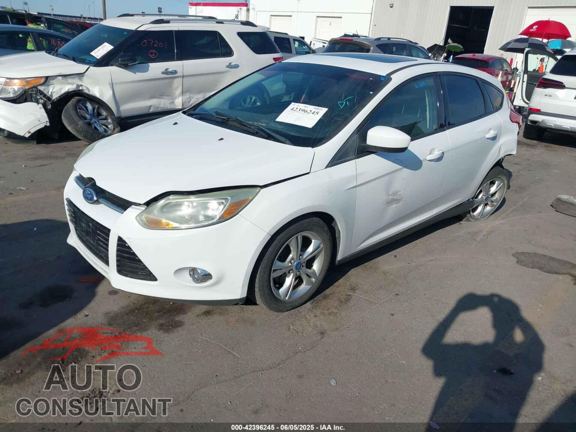 FORD FOCUS 2012 - 1FAHP3K2XCL175069