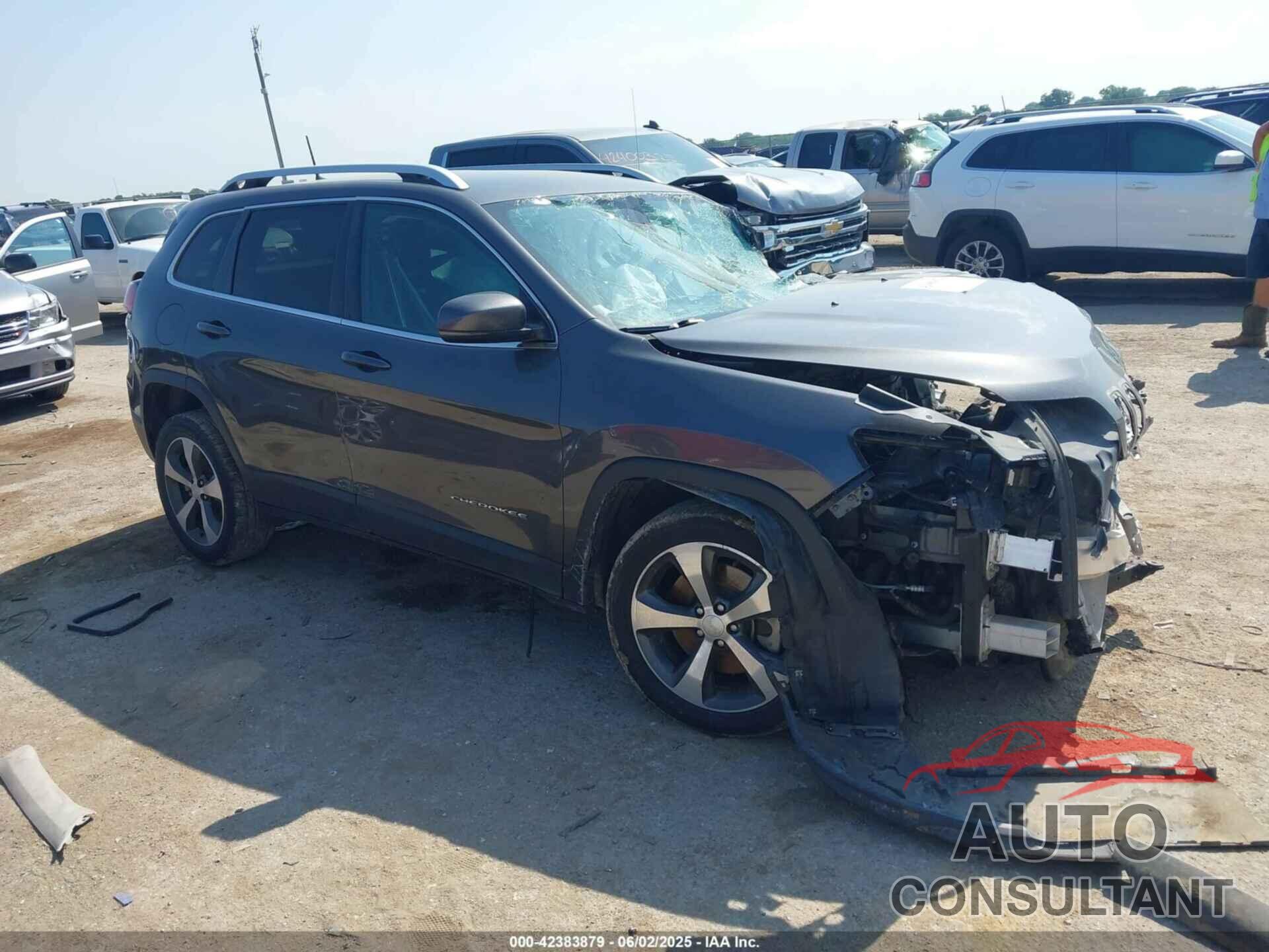 JEEP CHEROKEE 2019 - 1C4PJLDB2KD433890