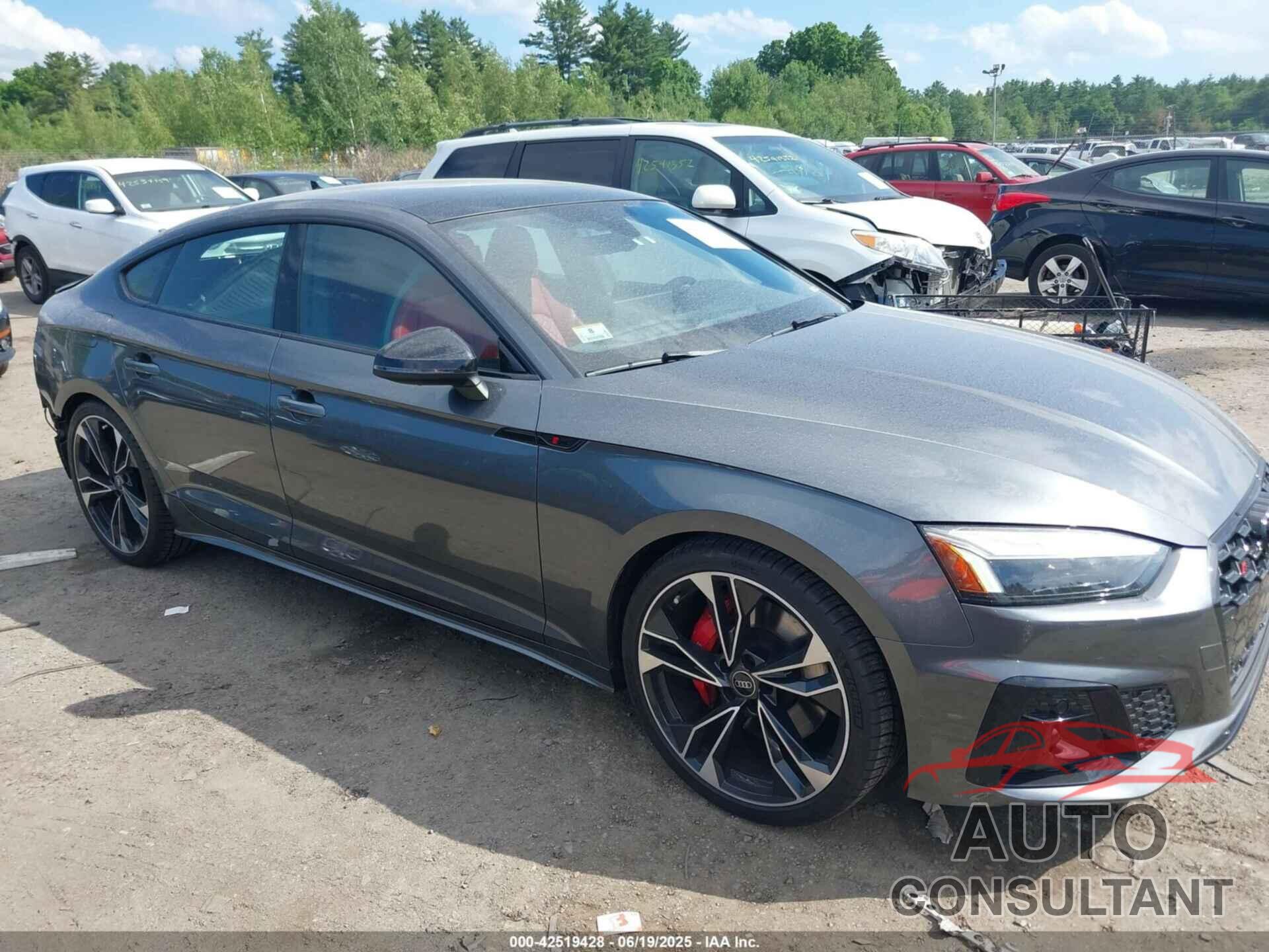 AUDI S5 SPORTBACK 2024 - WAUC4CF52RA101227