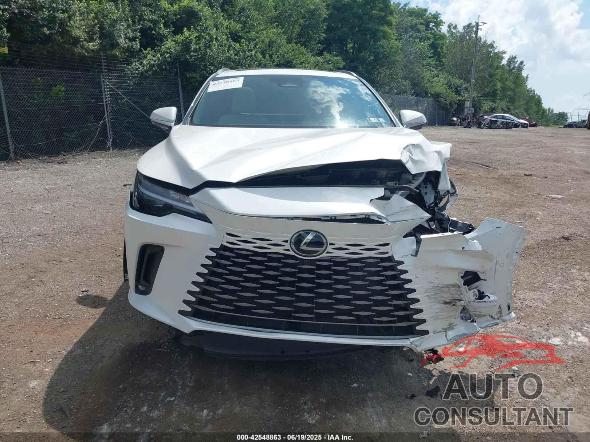 LEXUS RX 2024 - 2T2BBMCA3RC042546