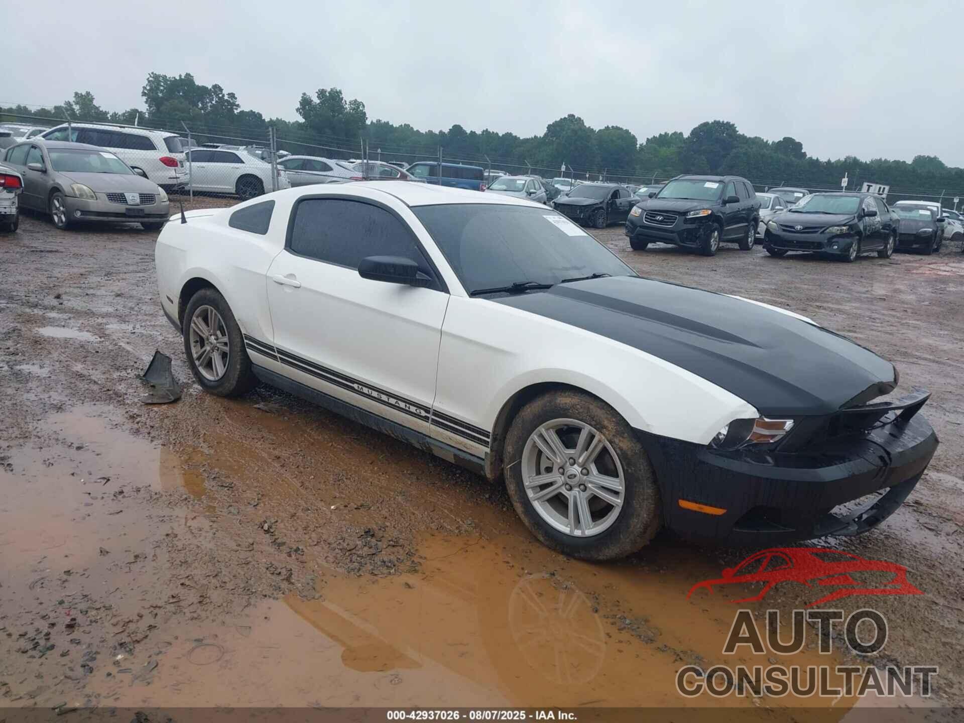 FORD MUSTANG 2012 - 1ZVBP8AM2C5271568