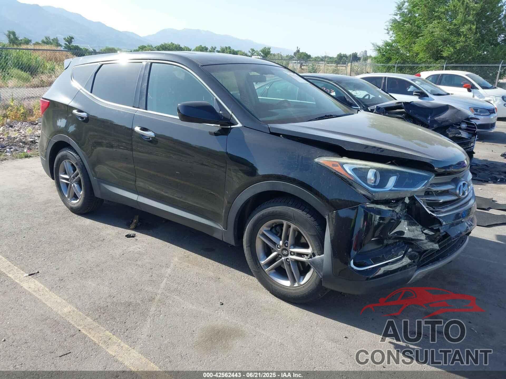 HYUNDAI SANTA FE SPORT 2017 - 5NMZTDLB6HH027024