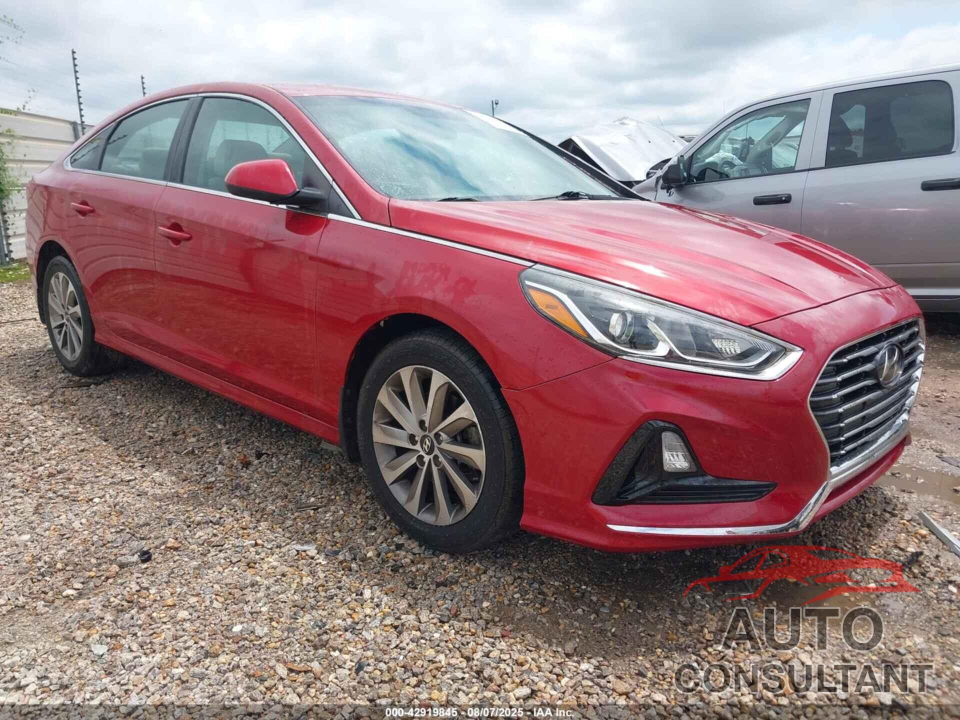 HYUNDAI SONATA 2019 - 5NPE24AF3KH796601