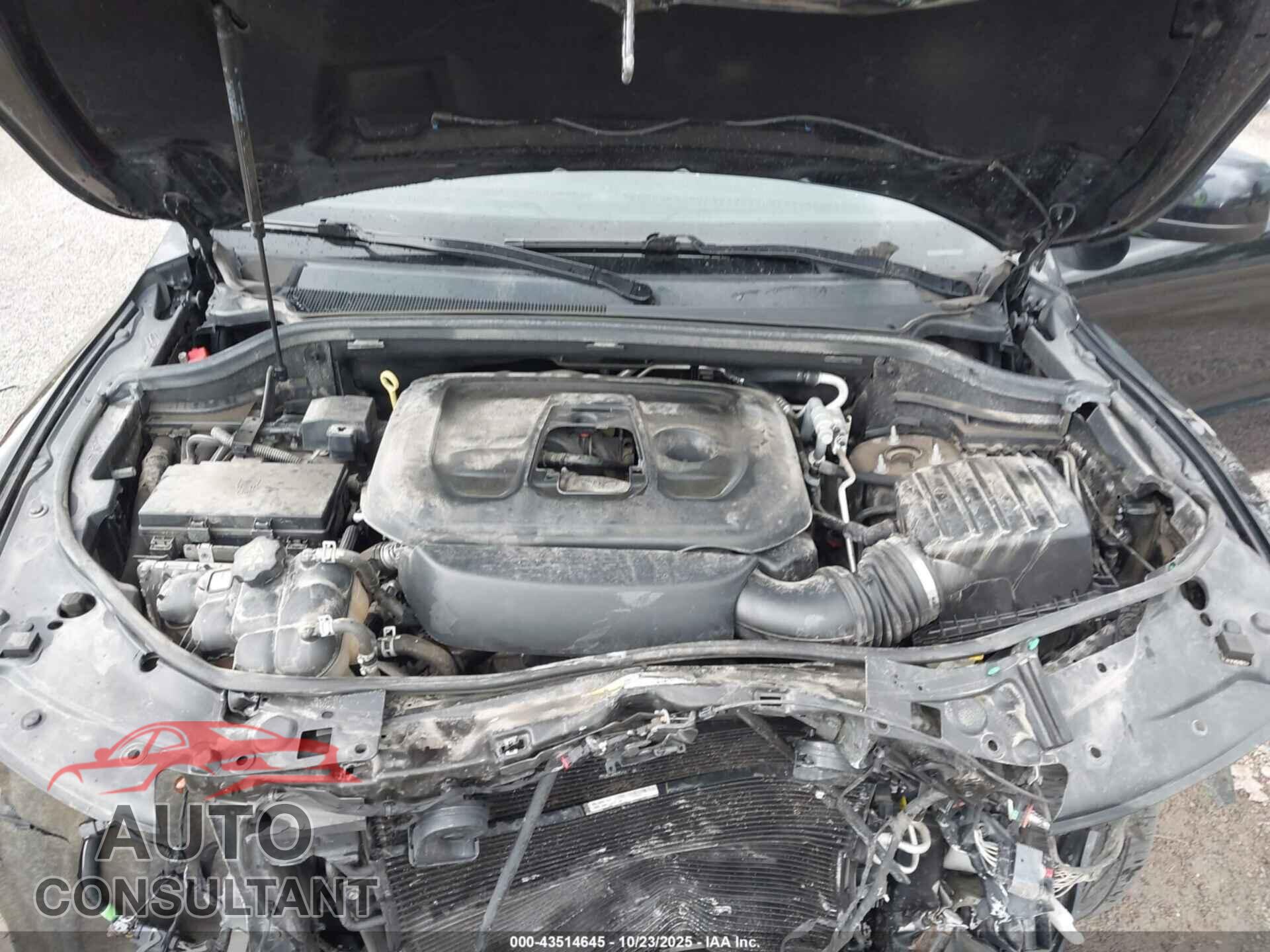 DODGE DURANGO 2019 - 1C4RDJAG6KC848205