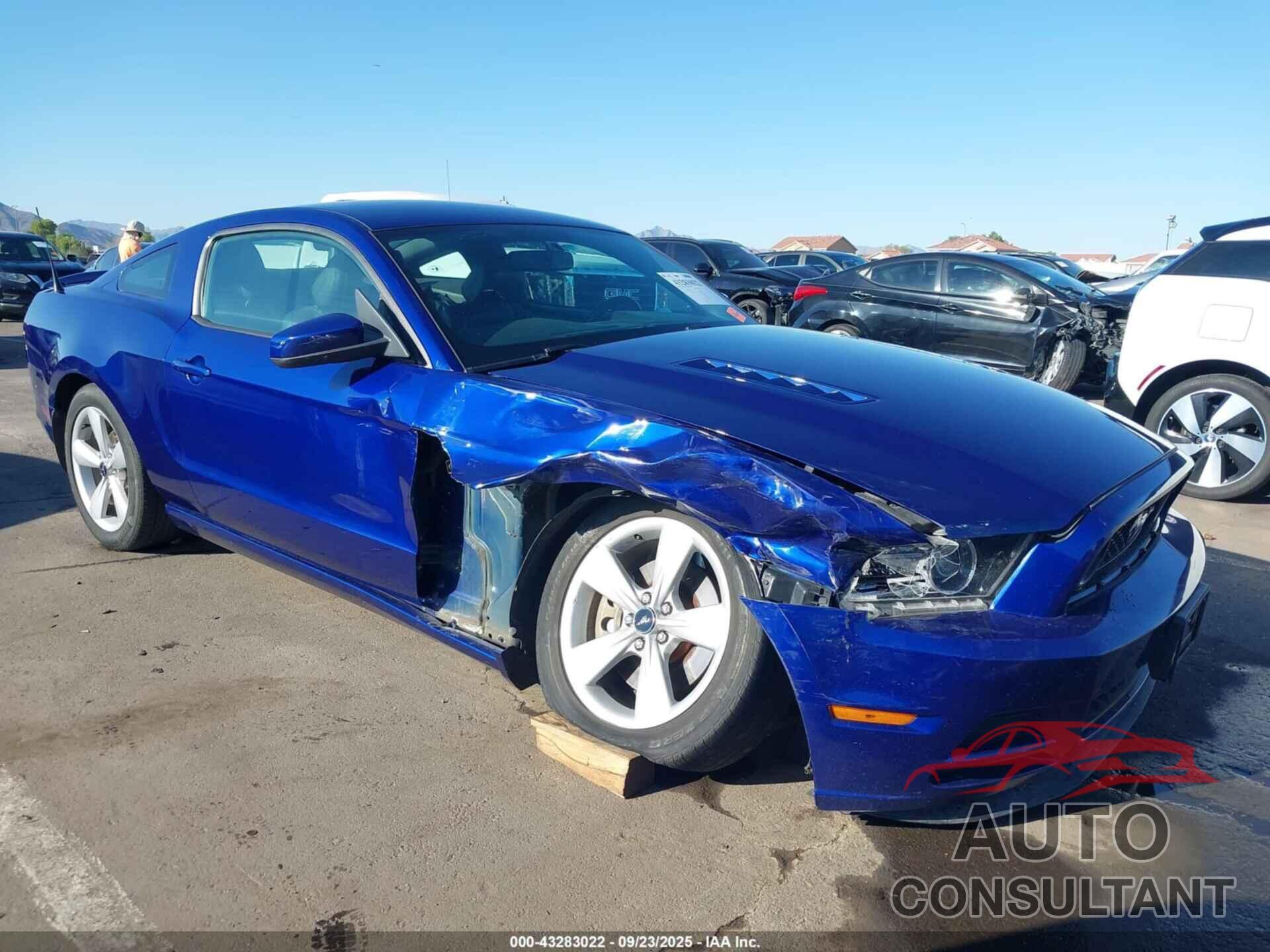 FORD MUSTANG 2014 - 1ZVBP8CF5E5200527