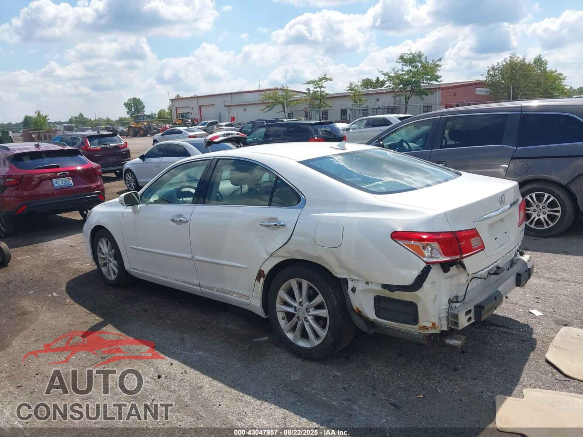LEXUS ES 350 2011 - JTHBK1EG5B2442437