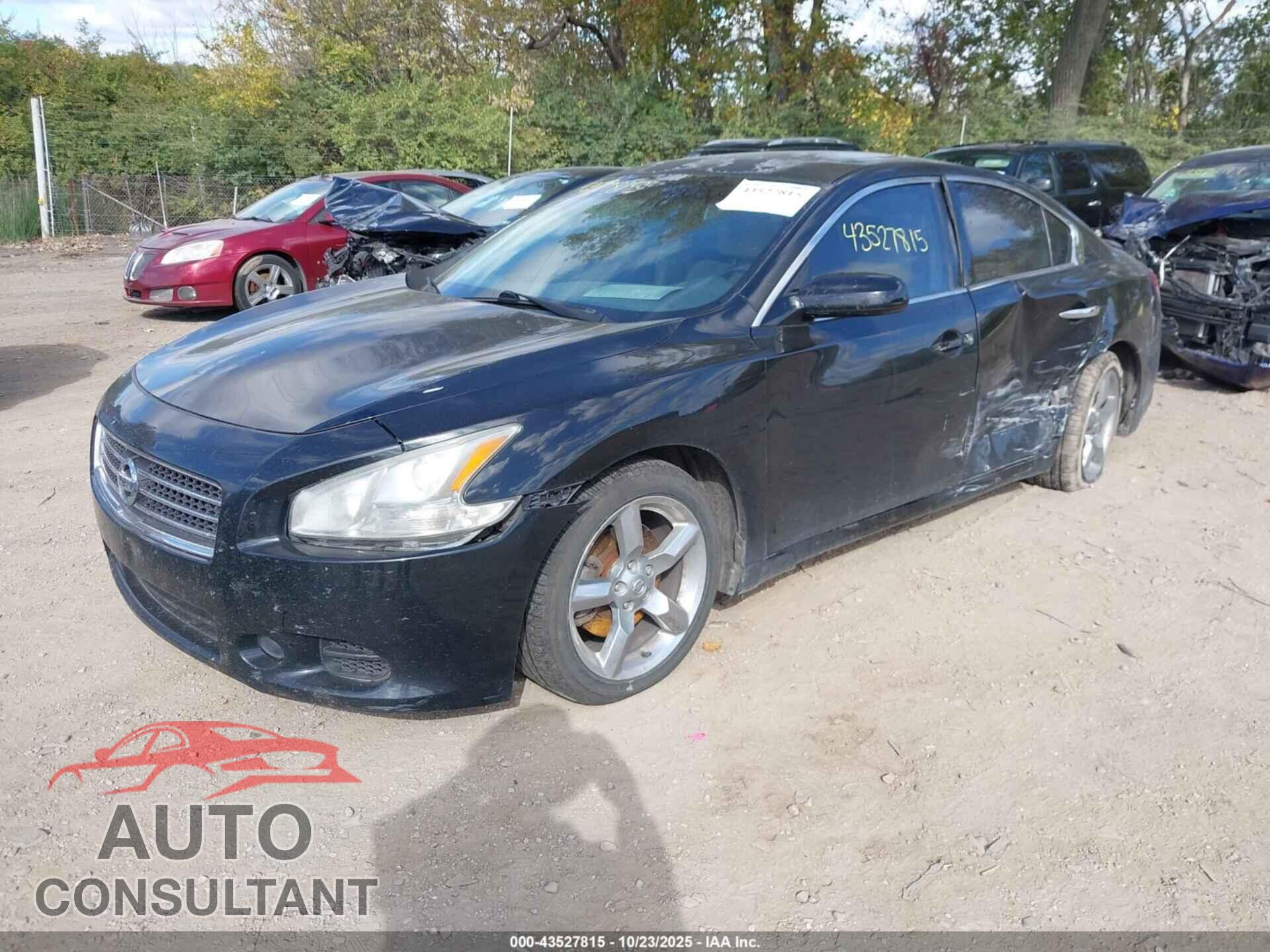NISSAN MAXIMA 2010 - 1N4AA5AP1AC805666