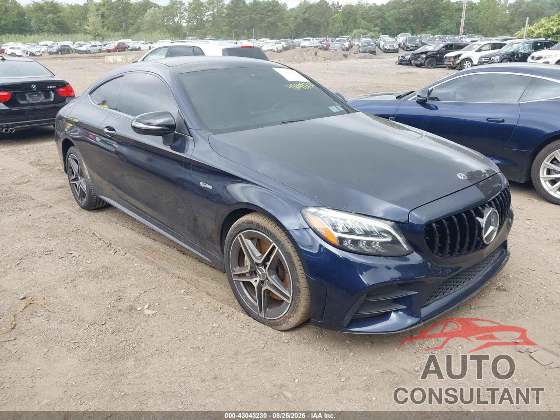 MERCEDES-BENZ AMG C 43 2019 - WDDWJ6EB8KF829165