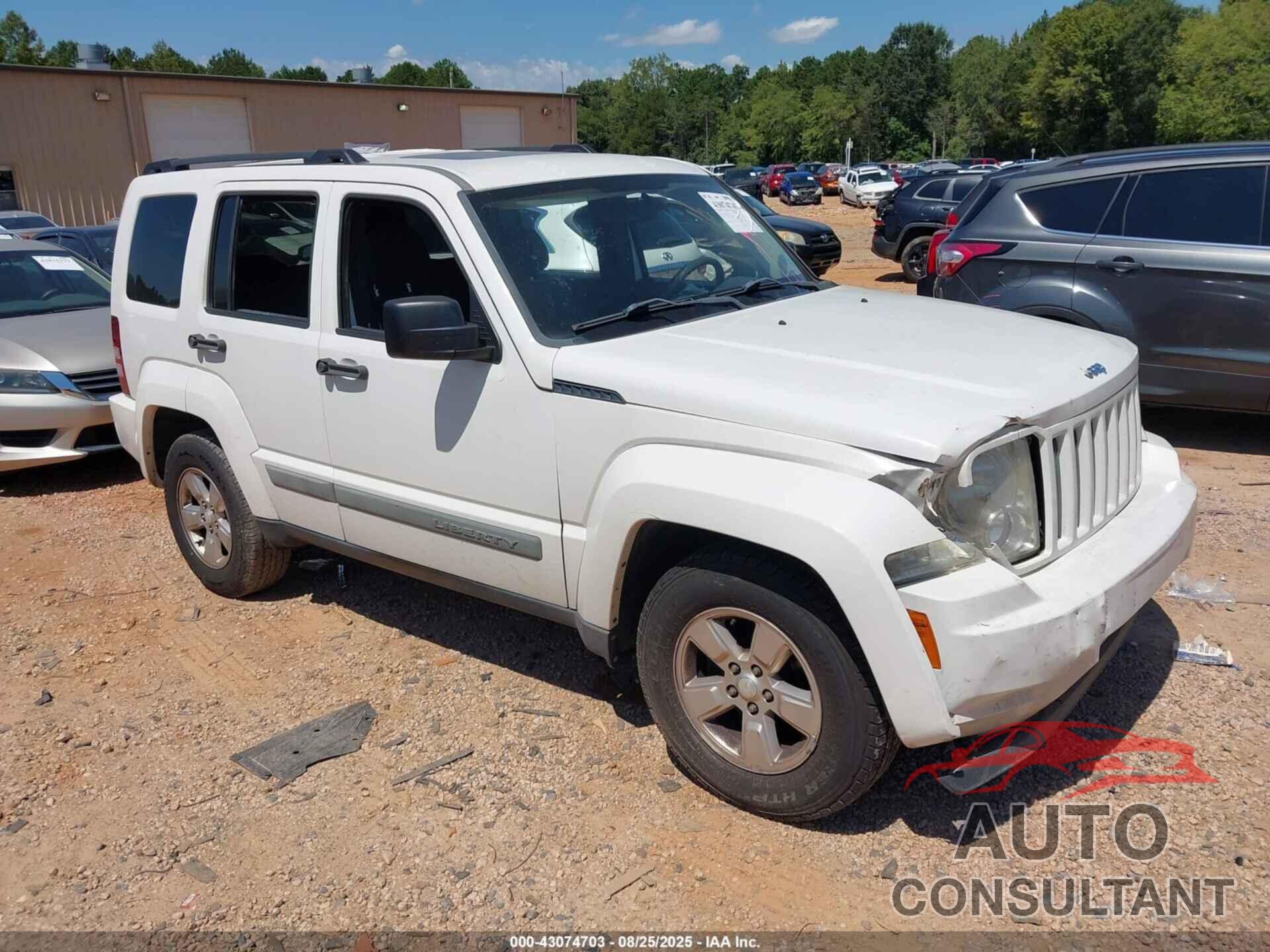 JEEP LIBERTY 2010 - 1J4PP2GK5AW181425