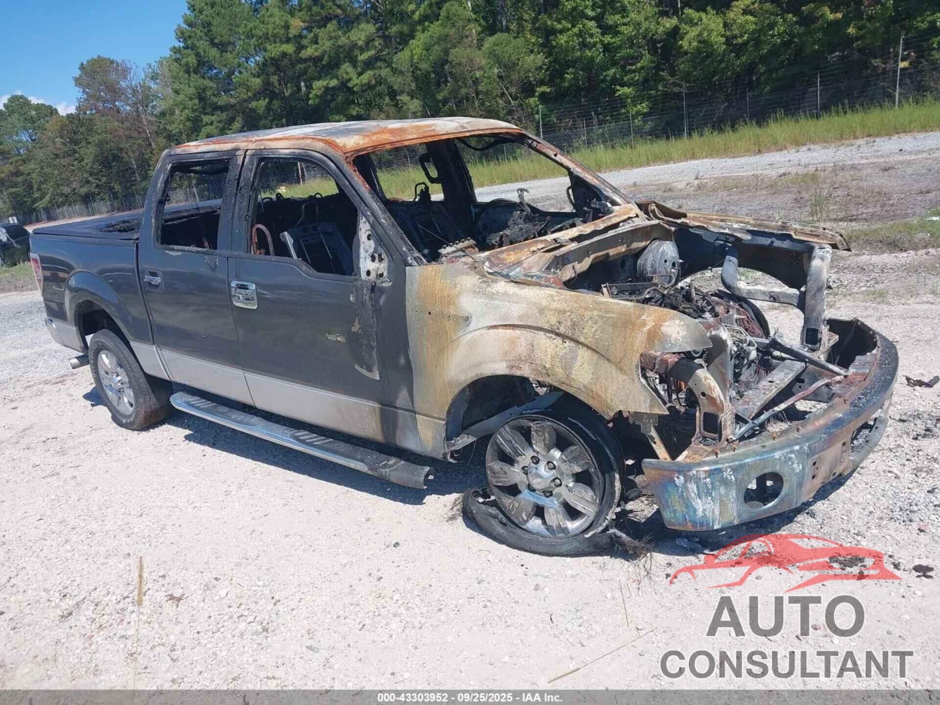 FORD F-150 2011 - 1FTFW1CF1BKE15866