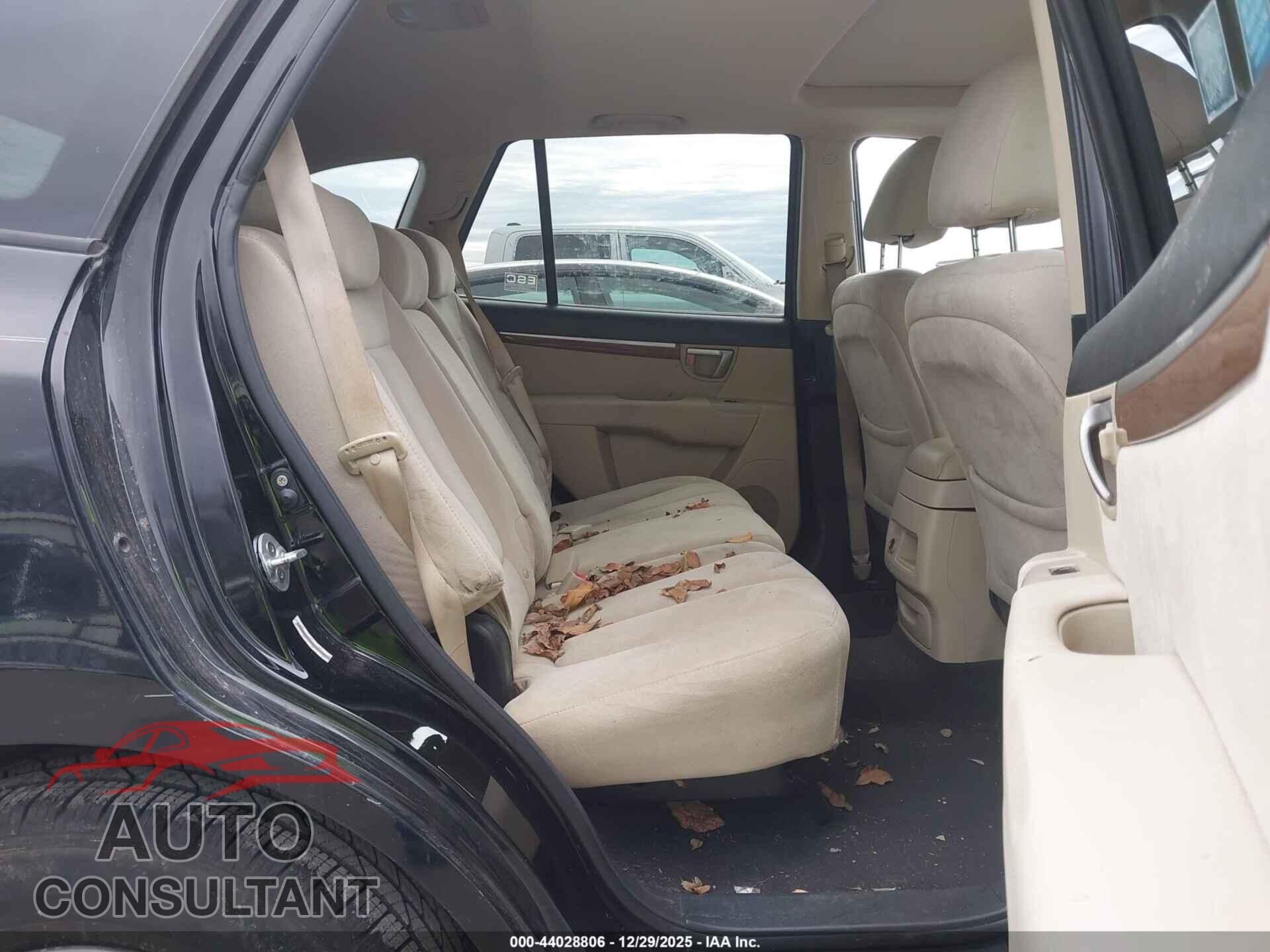 HYUNDAI SANTA FE 2009 - 5NMSG13D39H246997