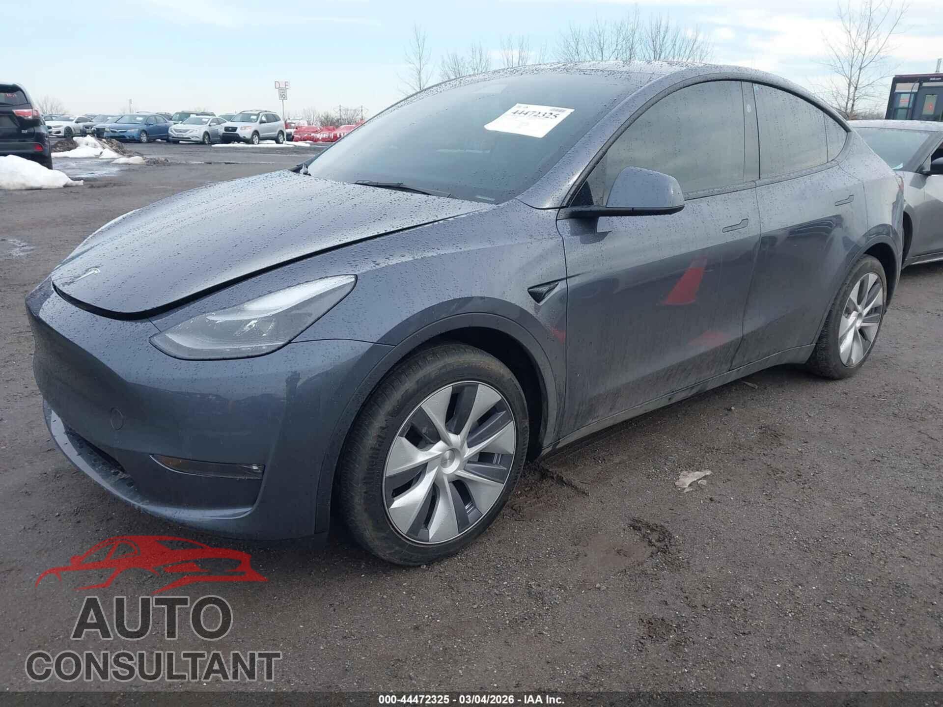 TESLA MODEL Y 2023 - 7SAYGAEE2PF843155